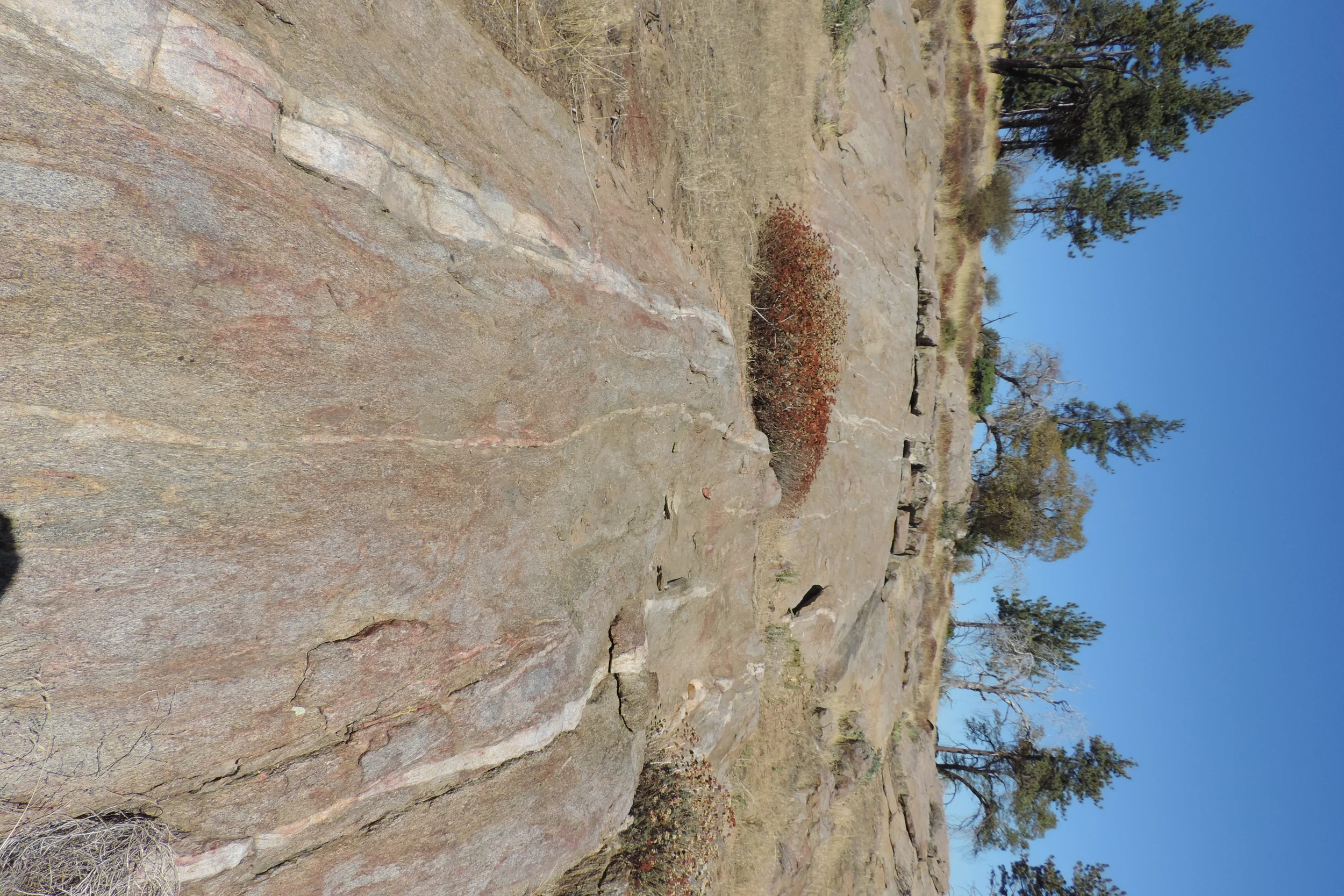DSCN3931.JPG