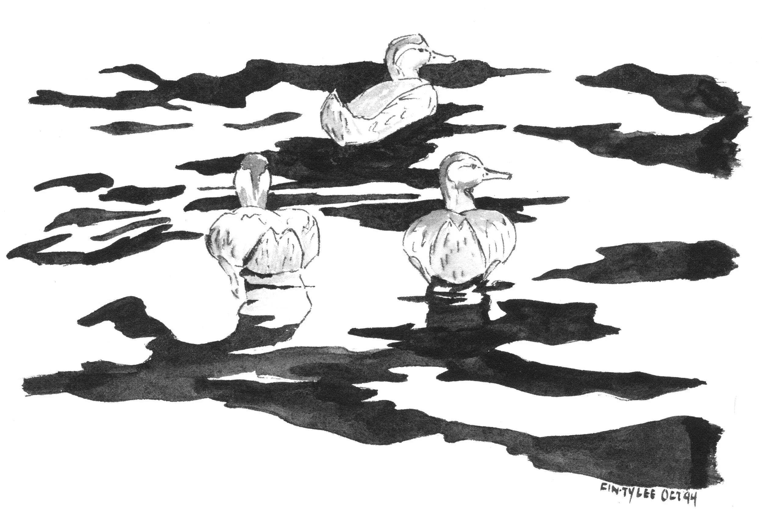 Mallards.jpg