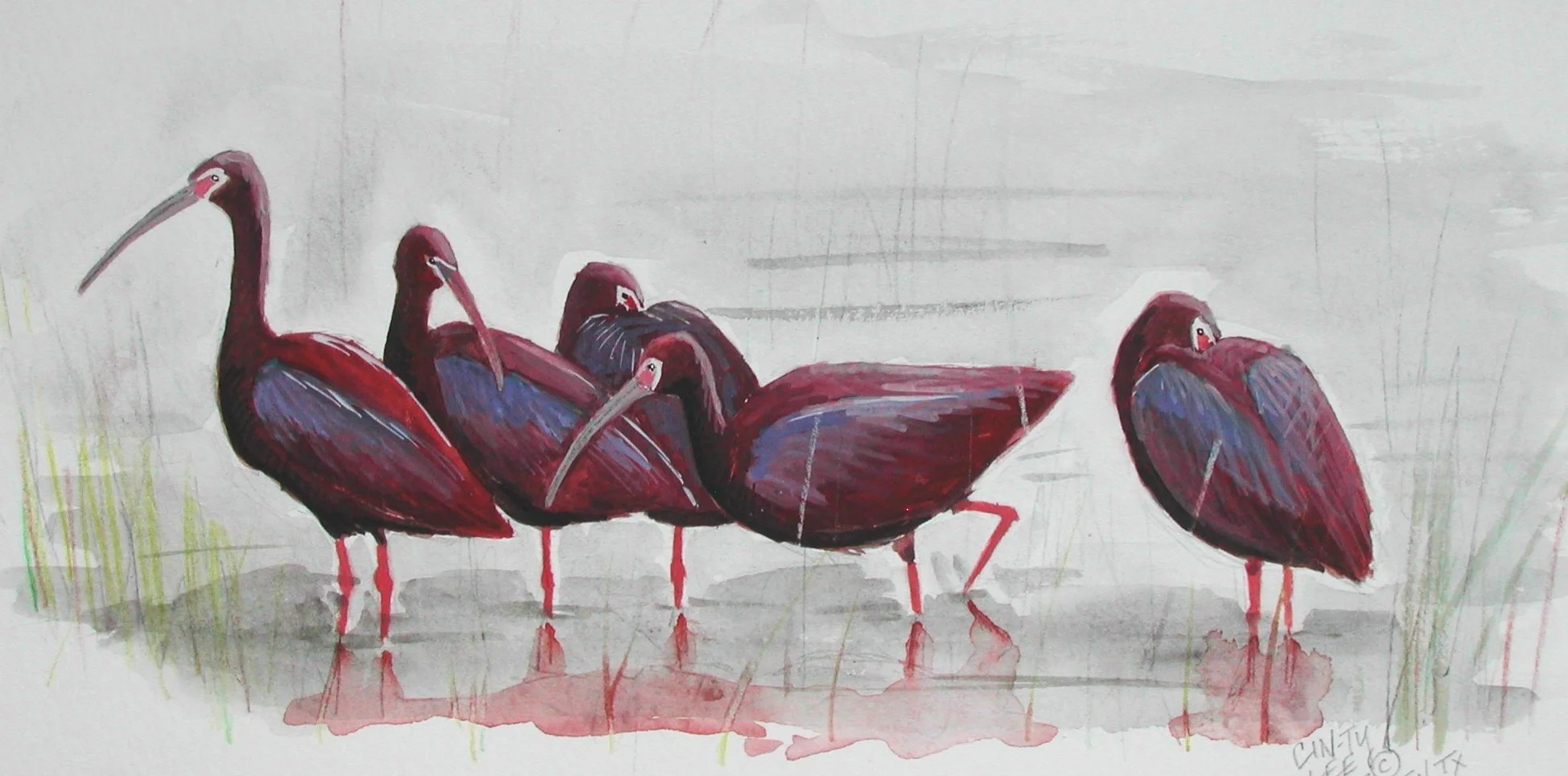Ibises-Lee.jpg