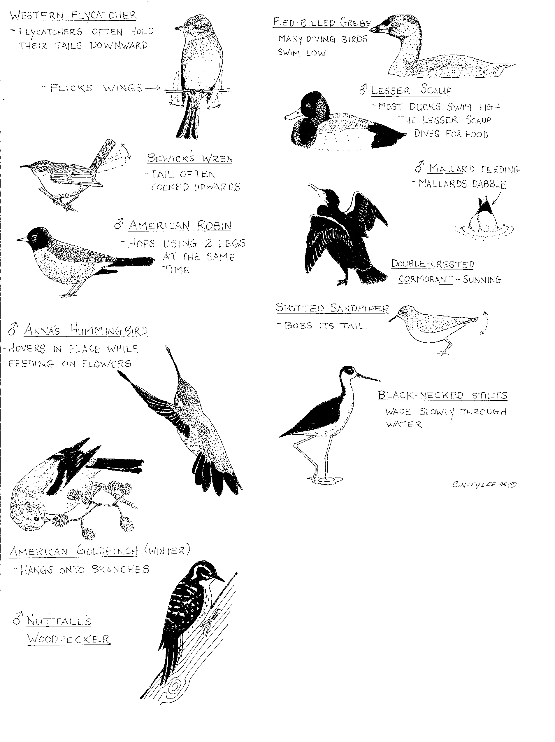 Plate5.jpg