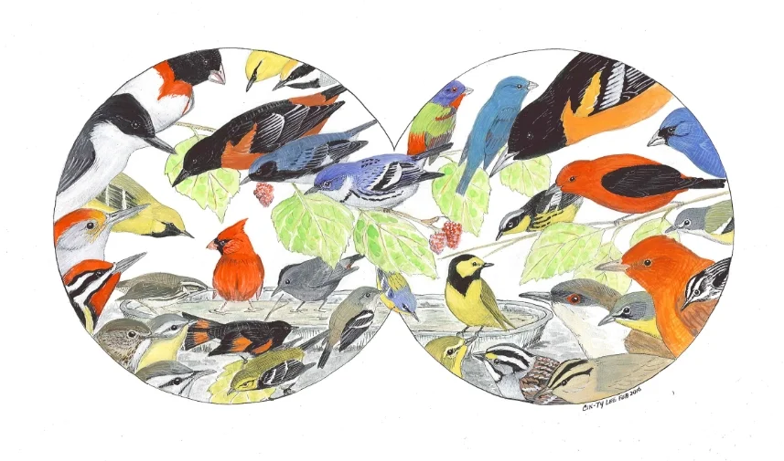 Birds through binoculars