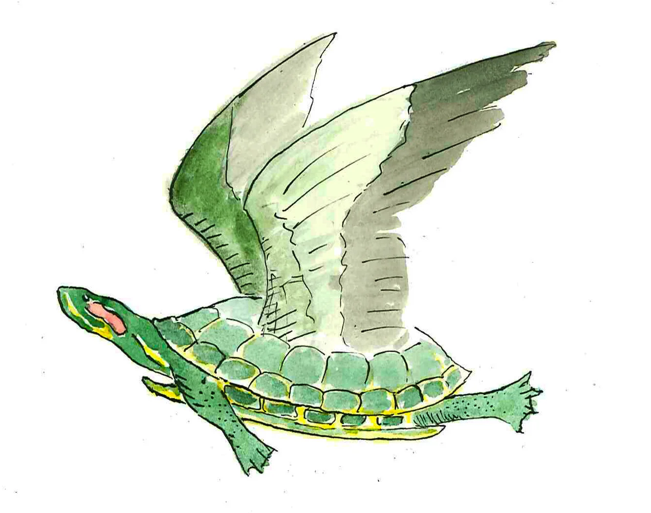 Poem-FlyingTurtle.jpg