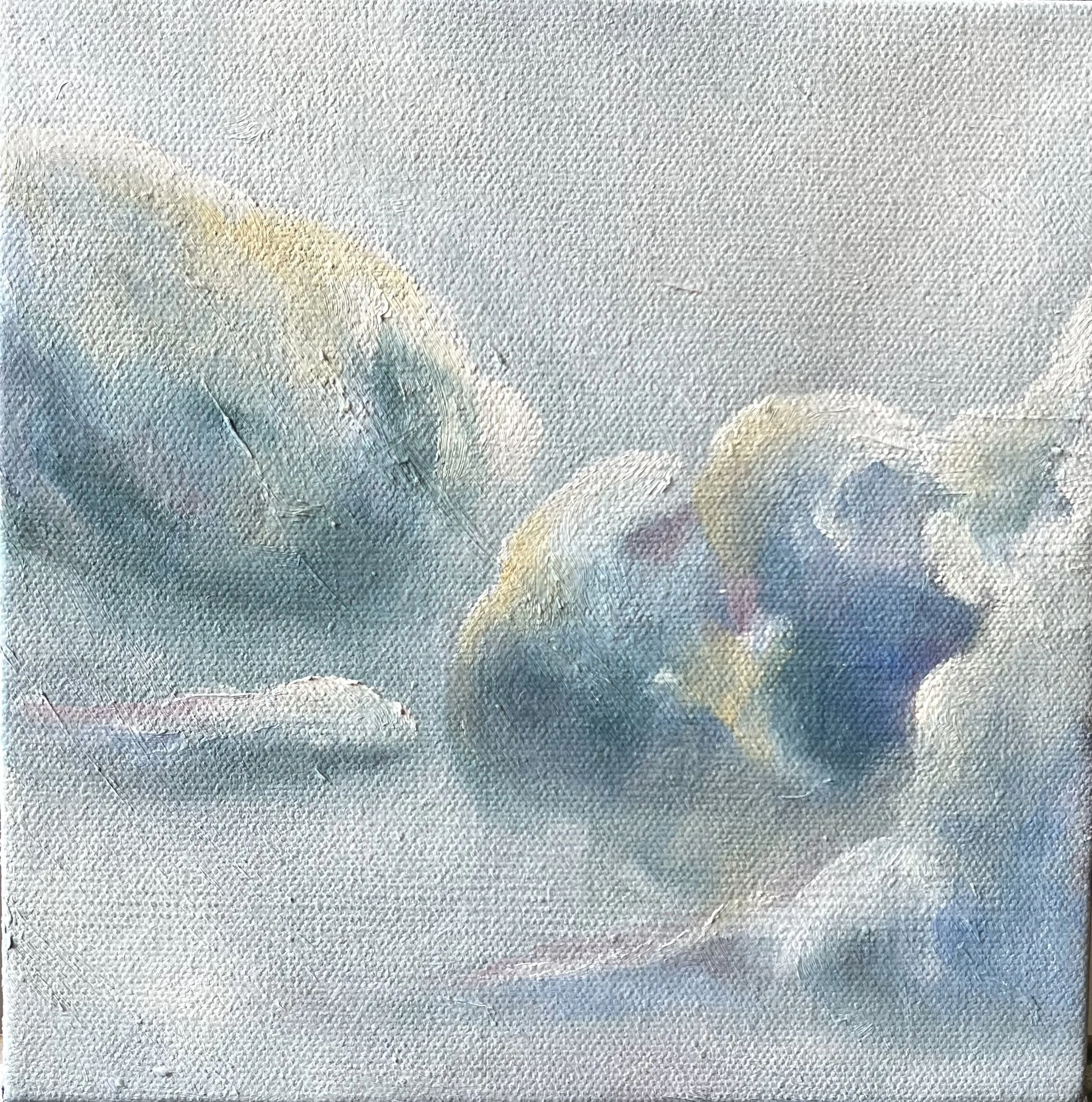 Light Cloud 2 8x8.jpeg