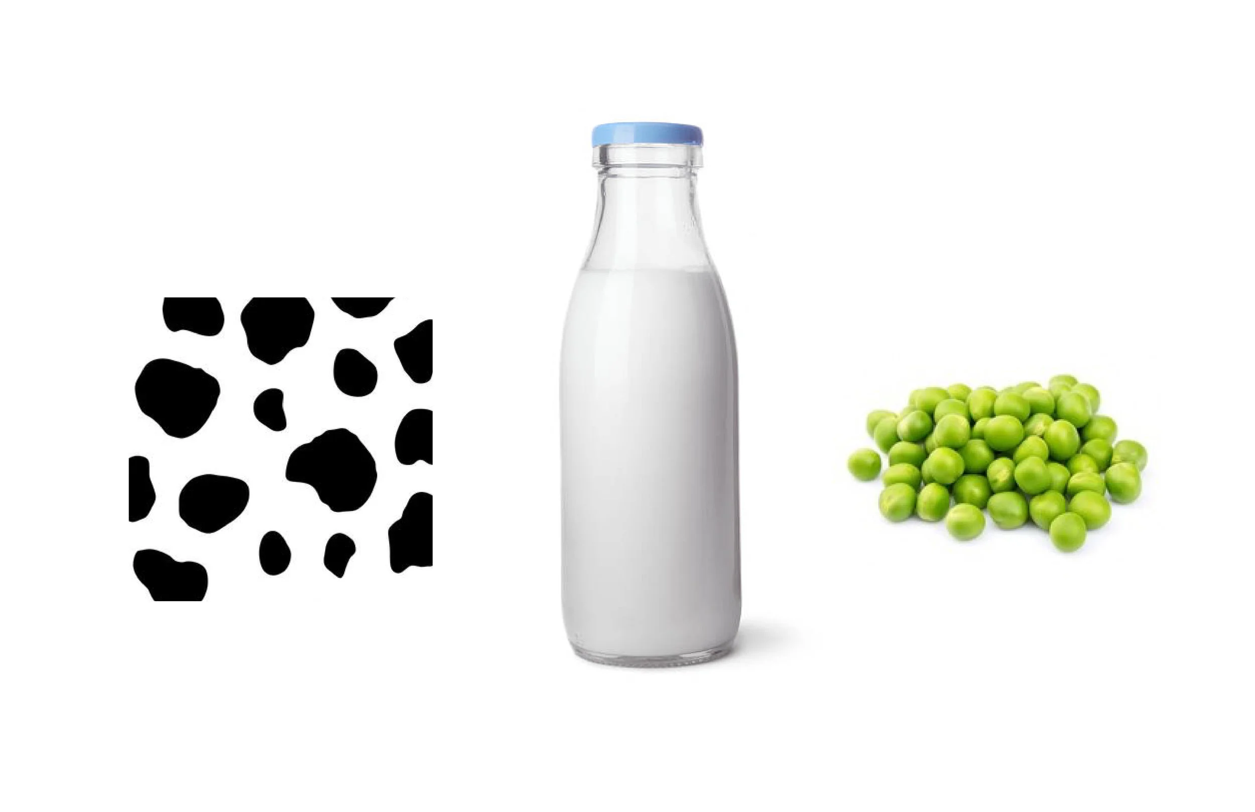 Milk slayts-04.jpg