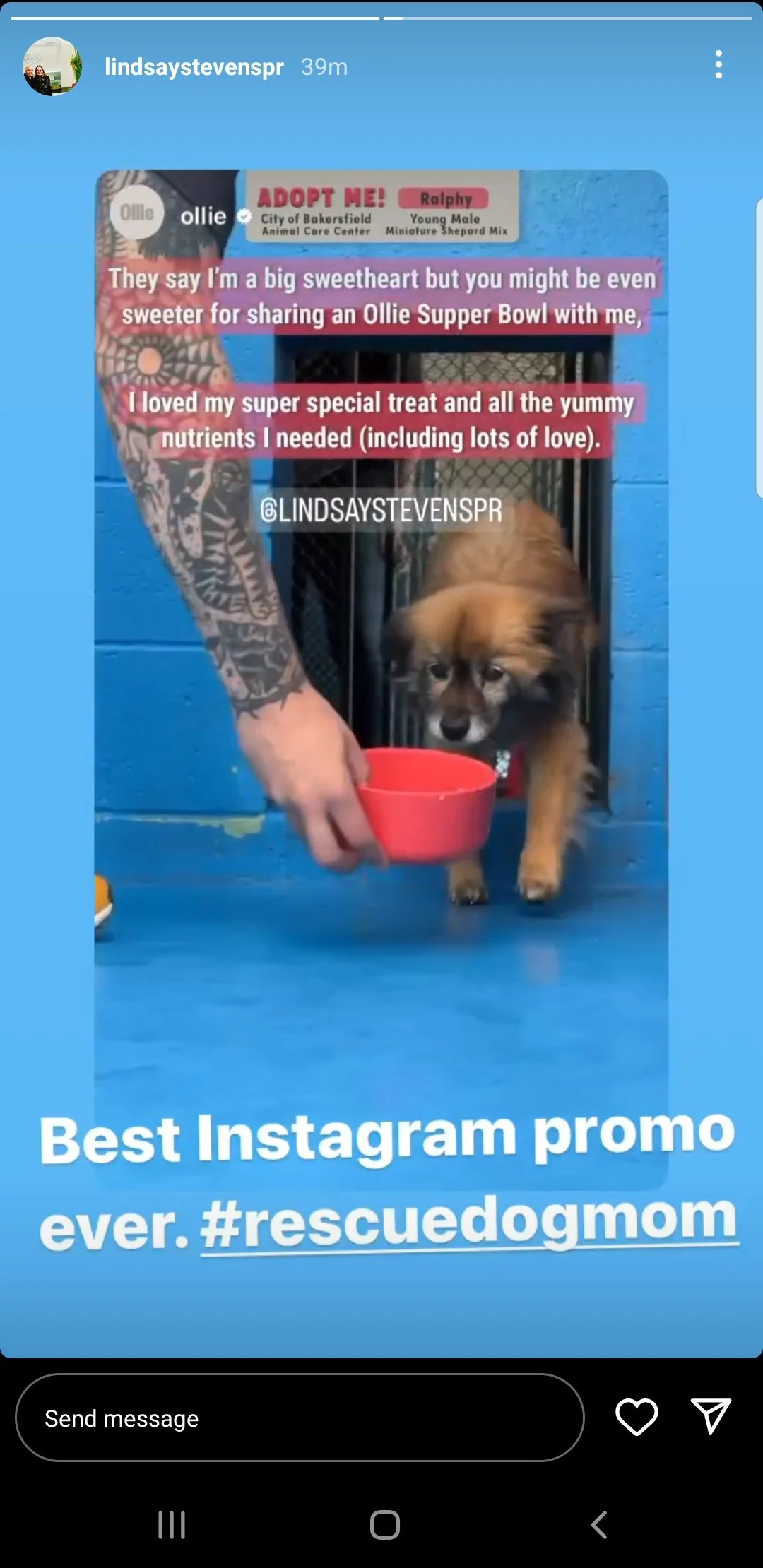 Screenshot_20230212-205655_Instagram.jpg