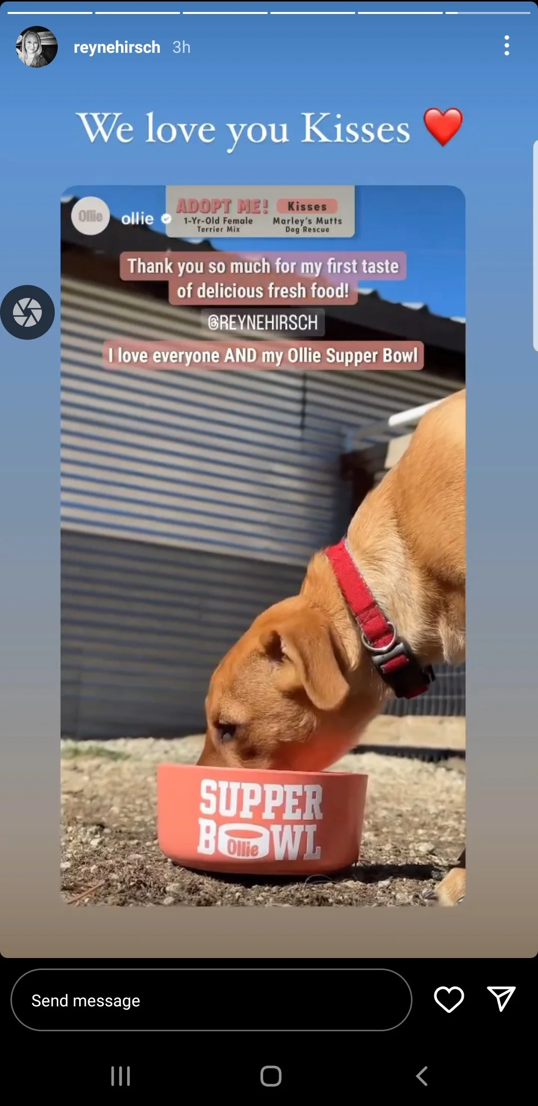 Screenshot_20230212-214258_Instagram.jpg
