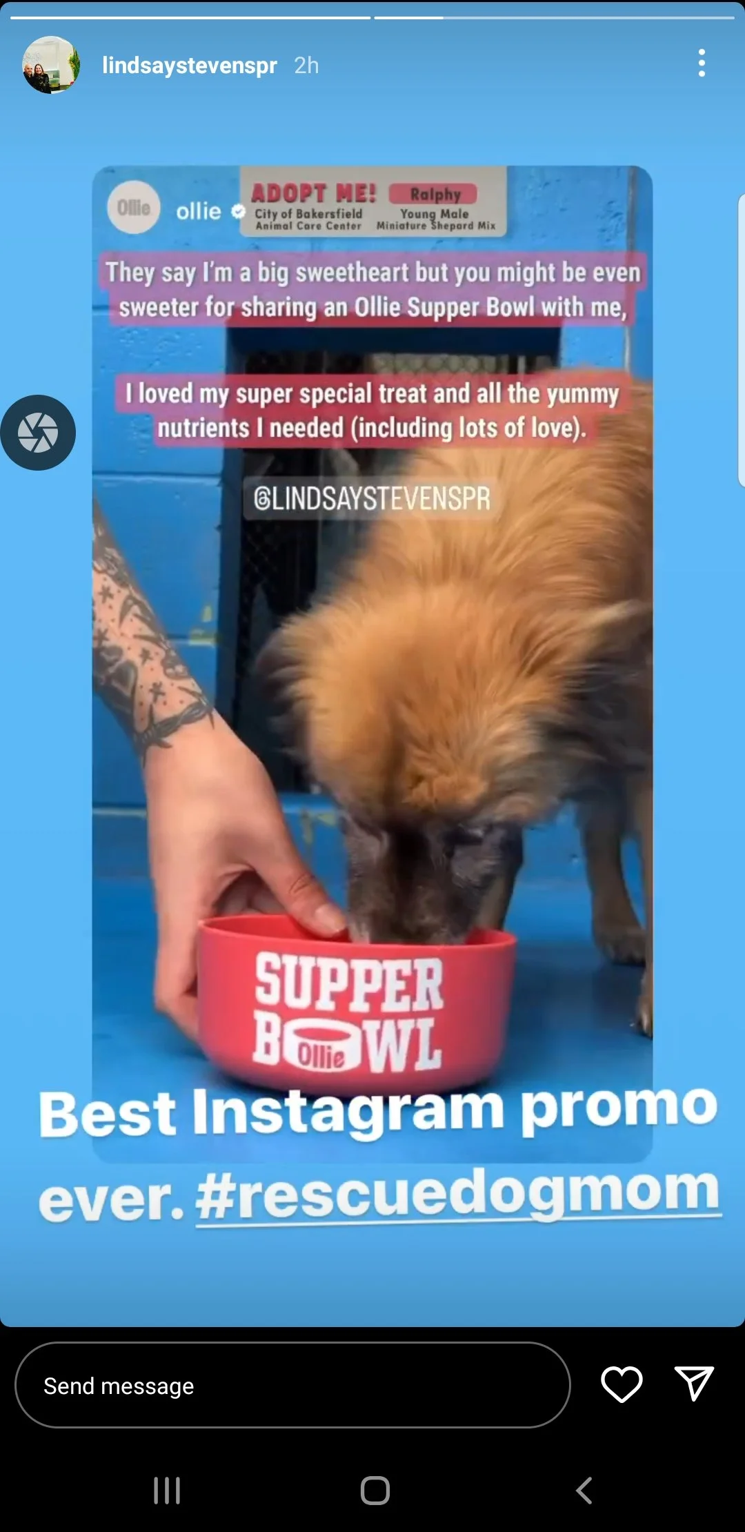 Screenshot_20230212-214923_Instagram.jpg