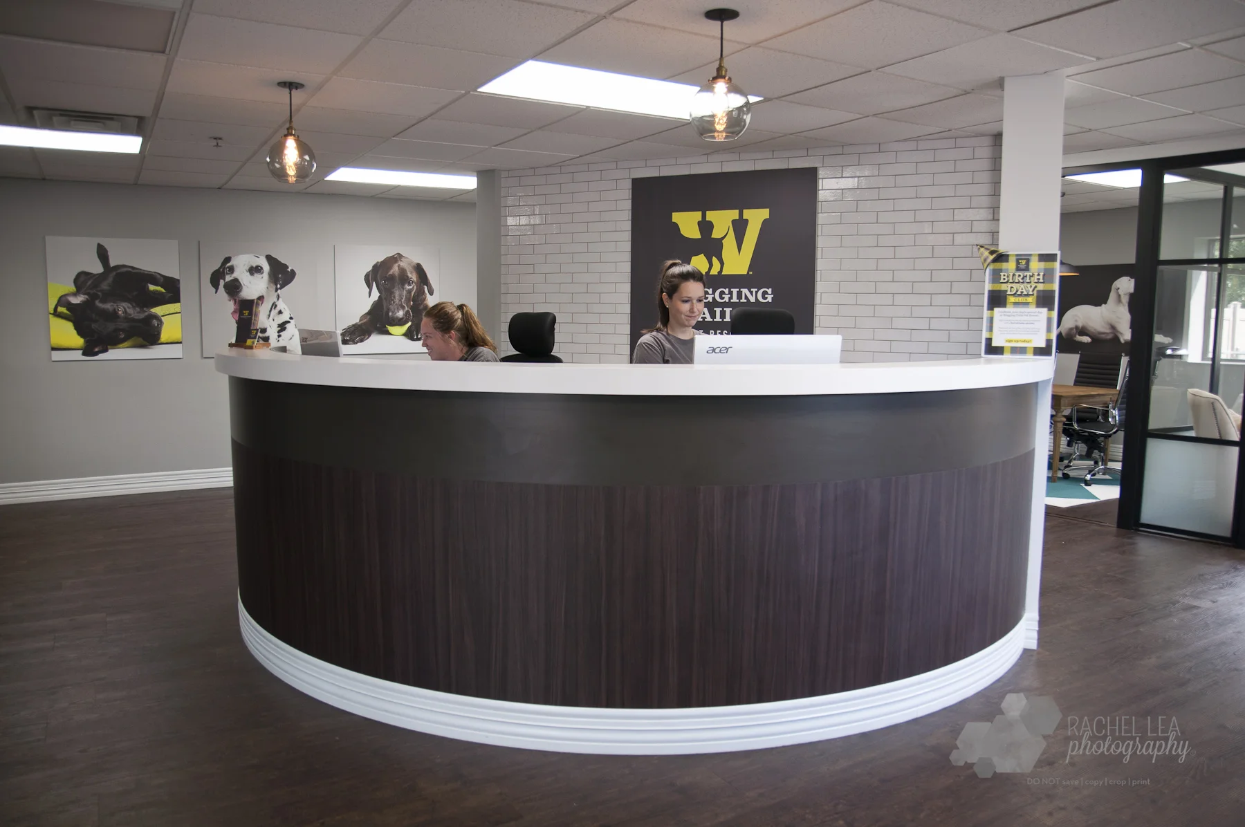 waggin tails pet resort