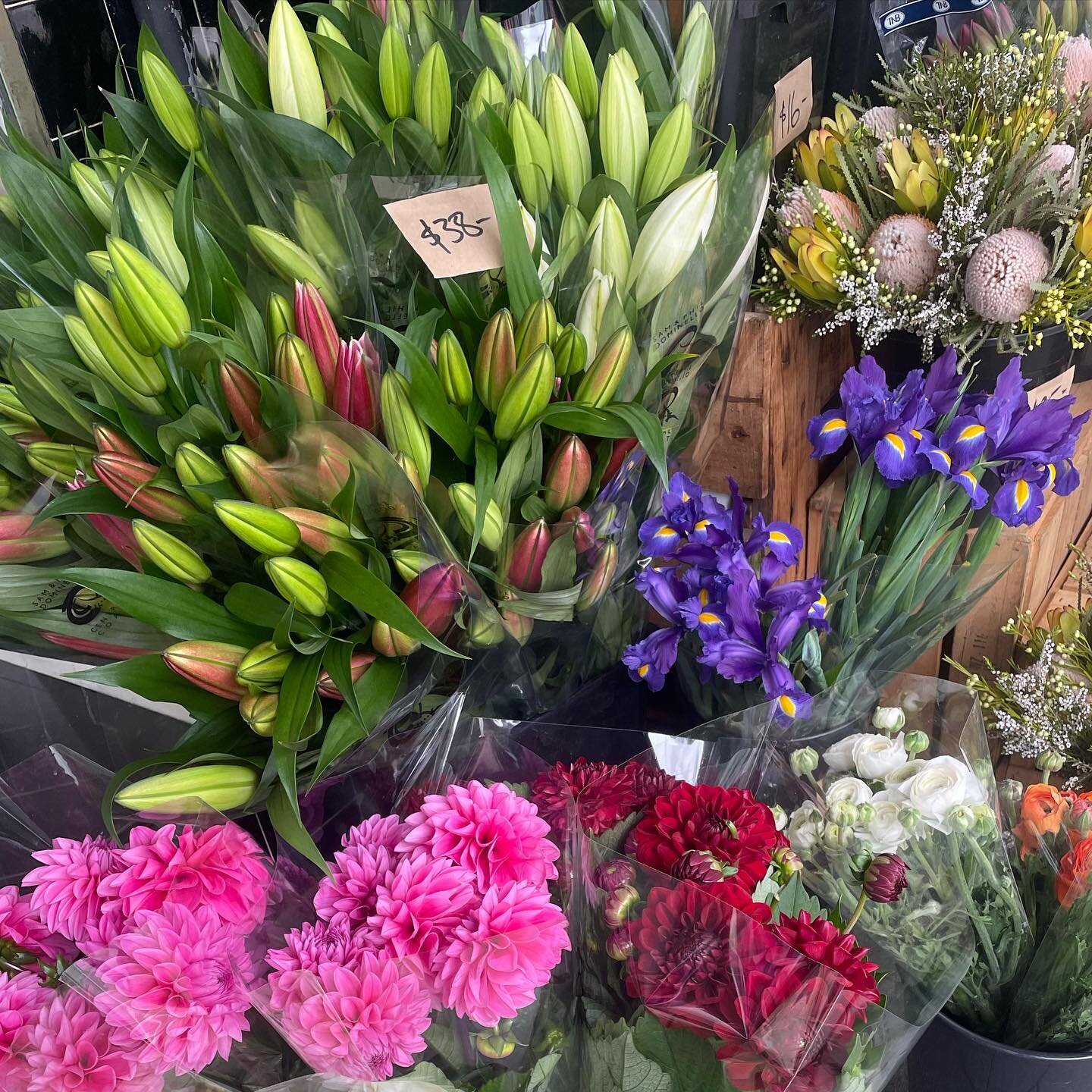 FIRST WEEKEND OF SPRING! 🌸 And it&rsquo;s Fathers Day on Sunday! ❤️ Beautiful blooms to brighten your home! 💐🥰
