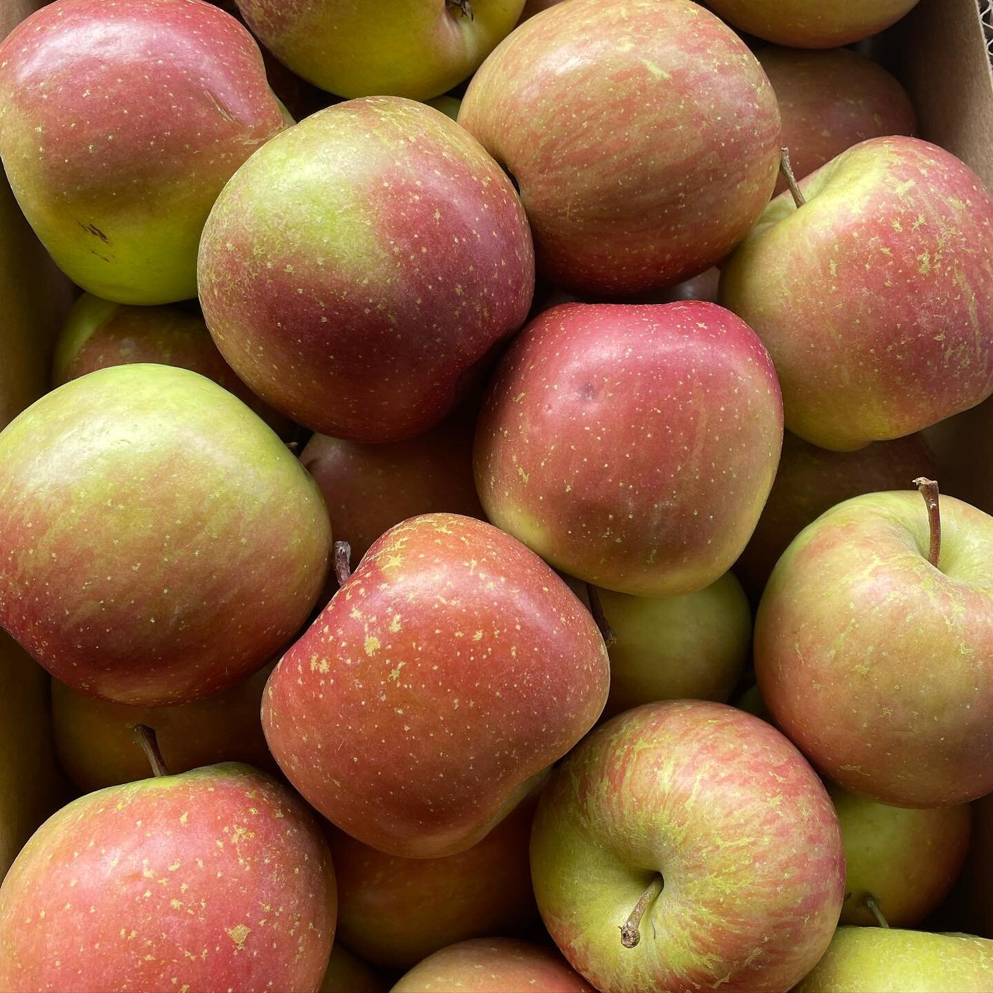 Unwaxed Fuji apples from Orange, NSW 🍎