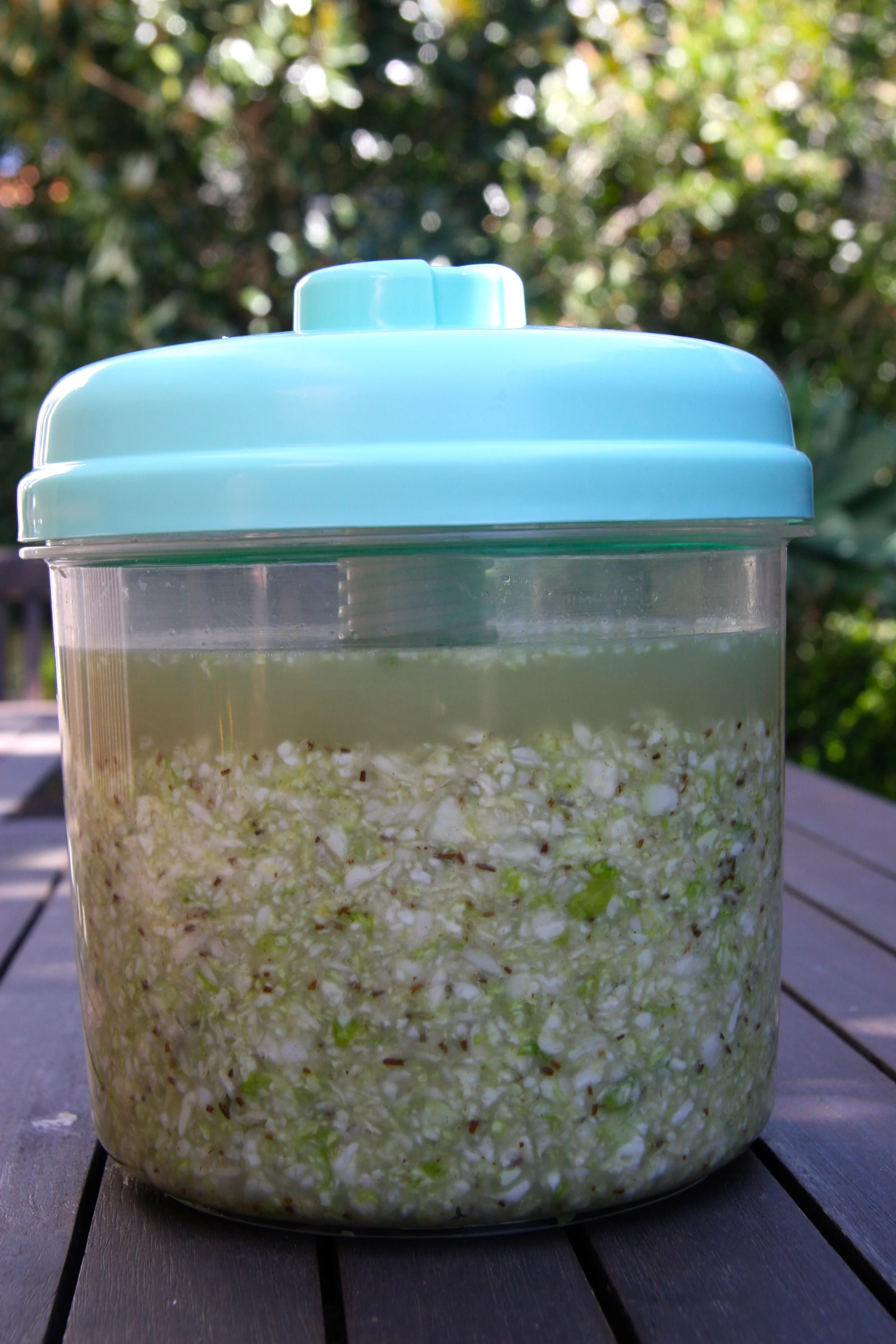 sauerkraut in progress