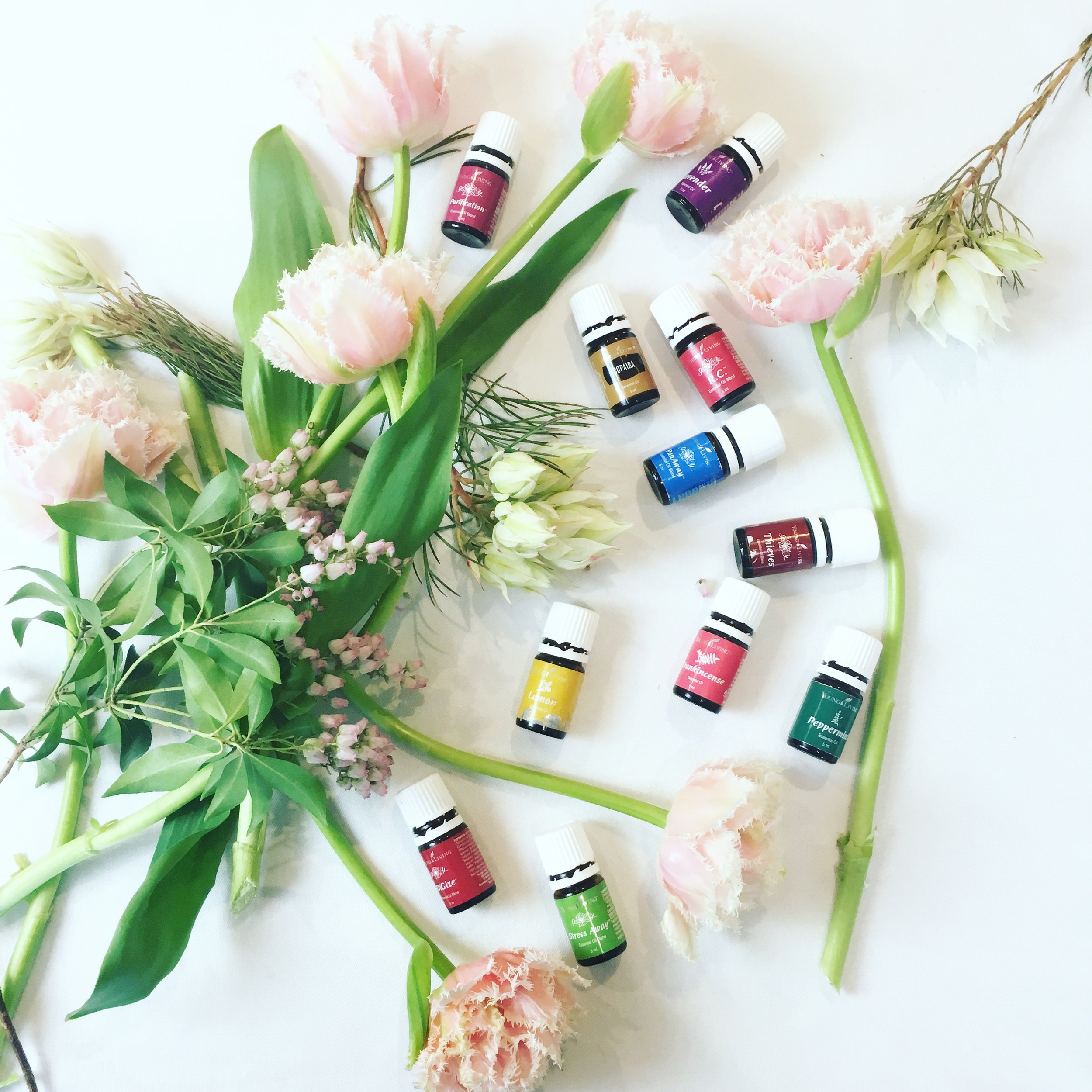 A Day In The Life of Essential Oils — Star Anise Organic Wholefoods
