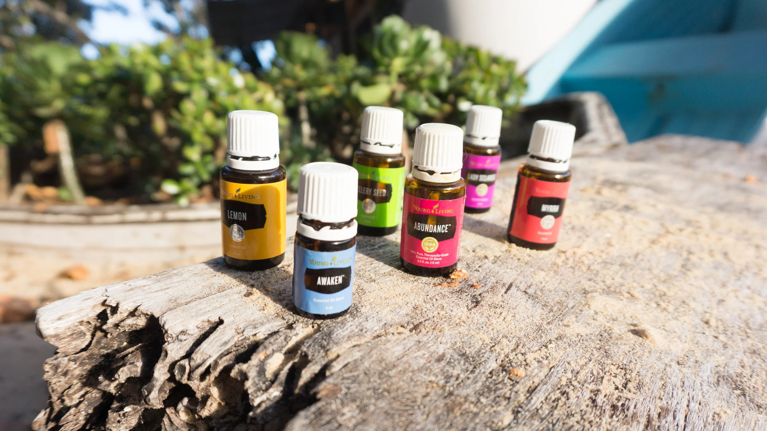 Free New Years Essential Oils Gathering