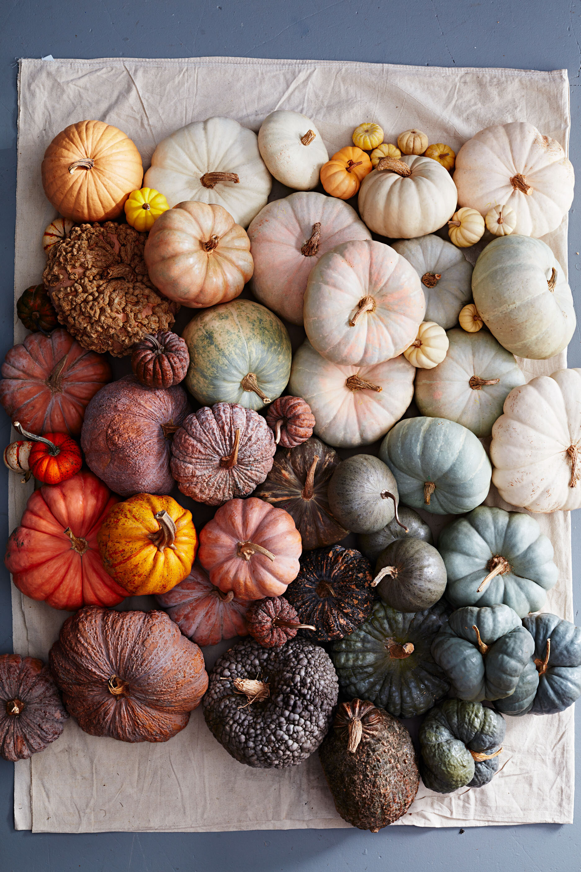 batch-pumpkins-423-MAIN-d112851_w20copy.jpg