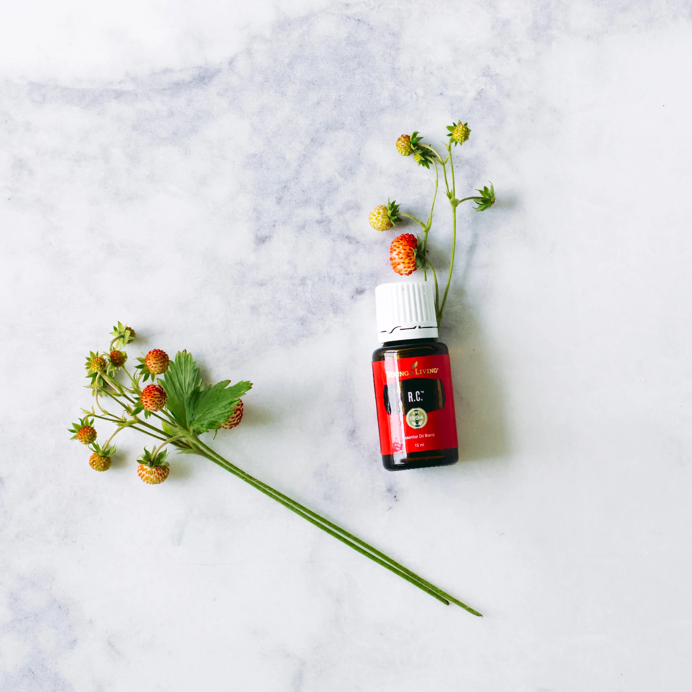 Essential Oils and Low Tox Living — Star Anise Organic Wholefoods