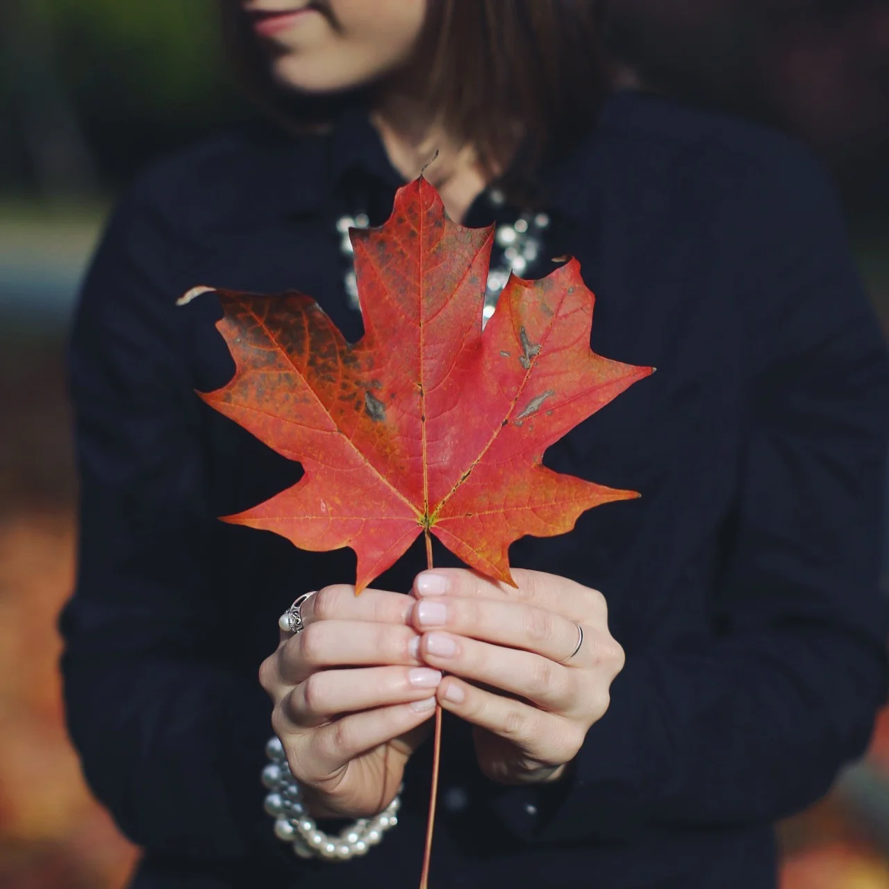 Autumn Colors in North Carolina // Instagram Challenge