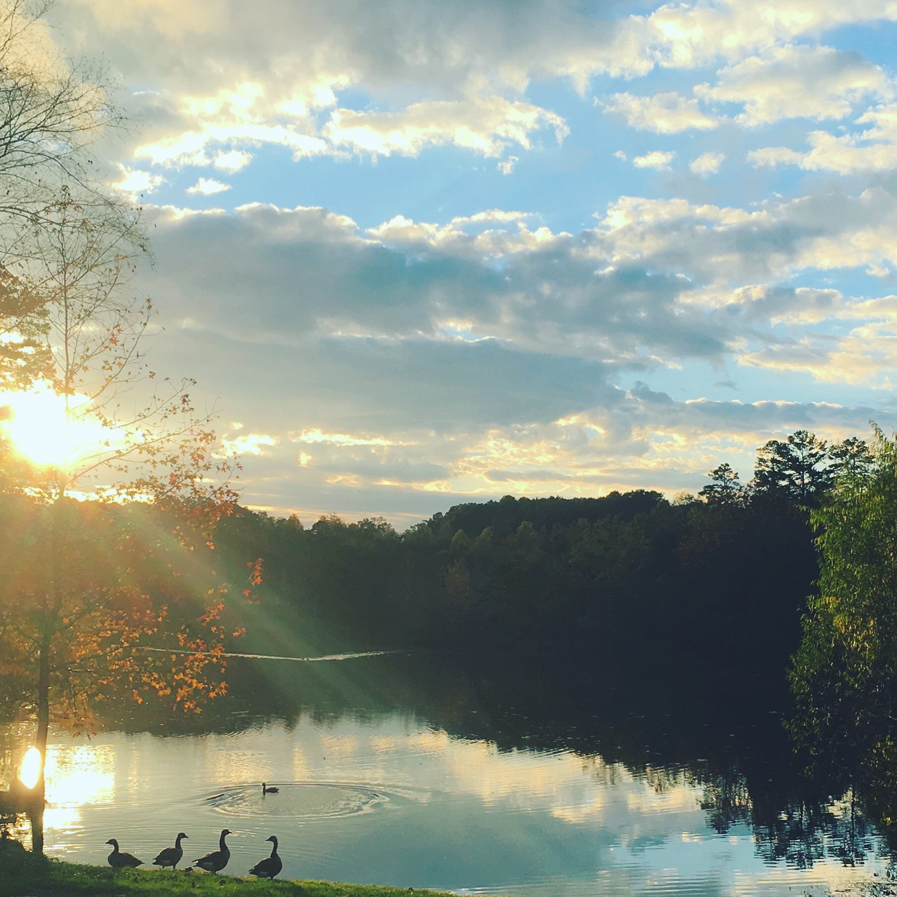 Fall_North_Carolina_Charlotte_Photographer-14-2.jpg