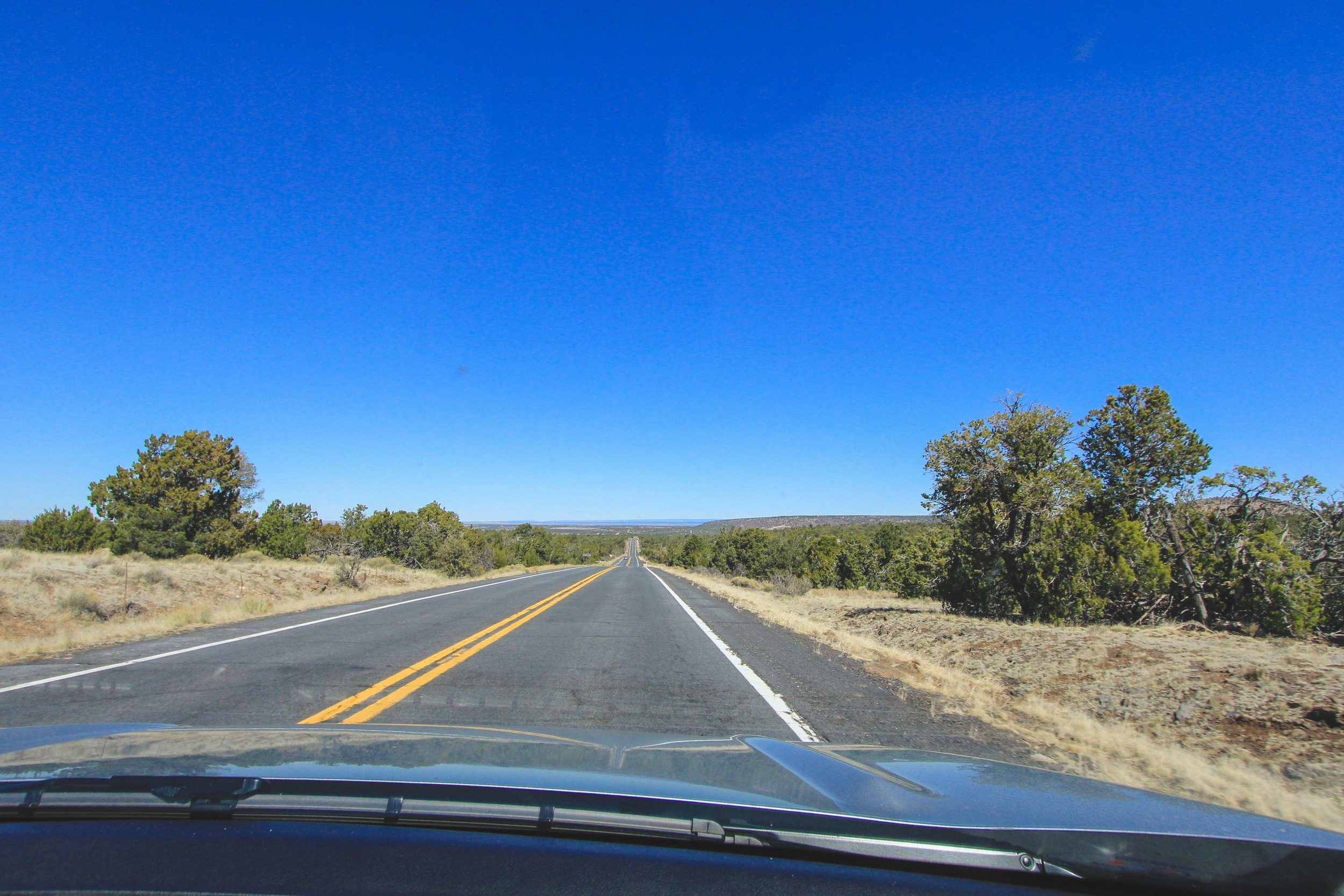 Arizona_JonCourville