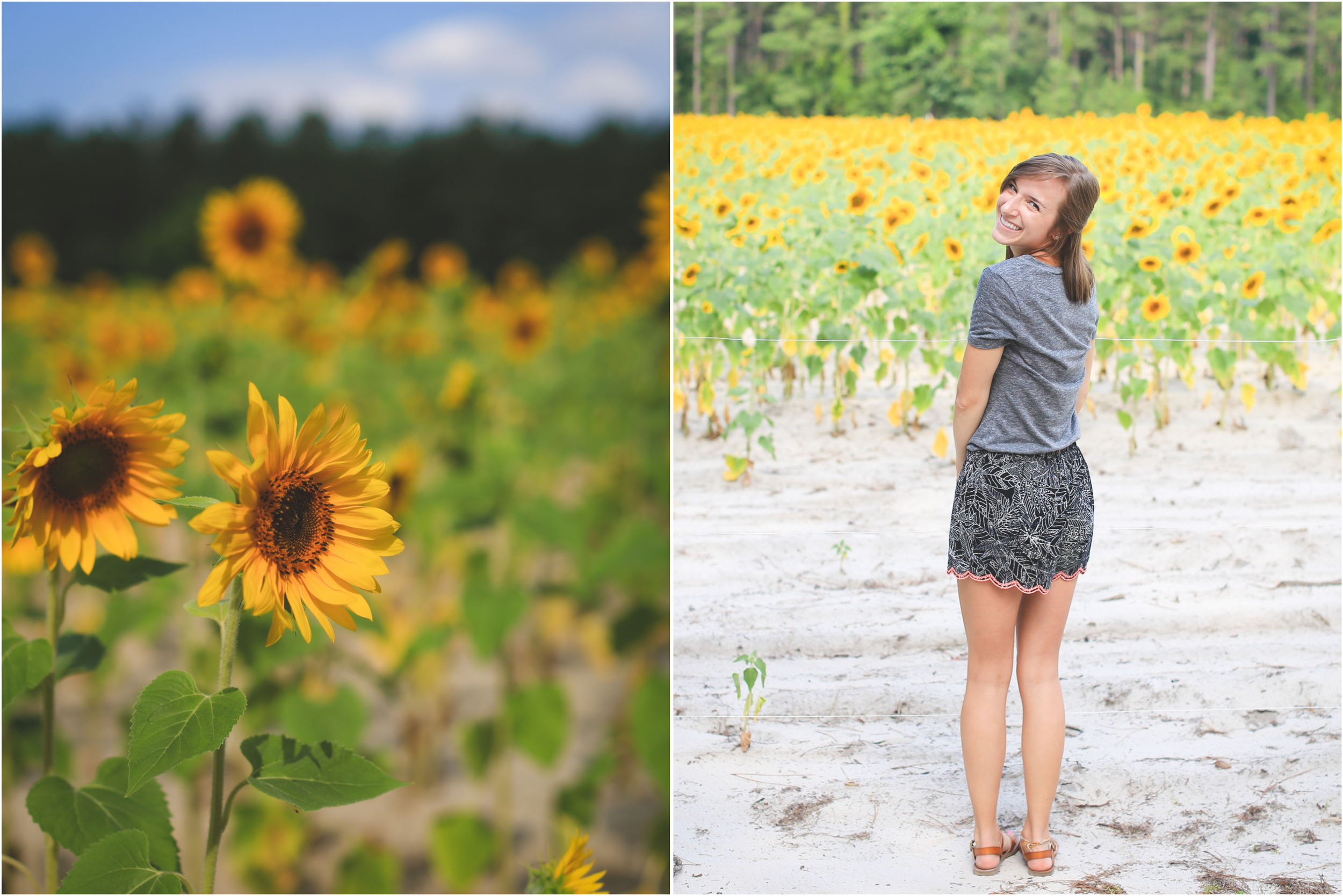 Sunflower Field, Jon Courville Photography