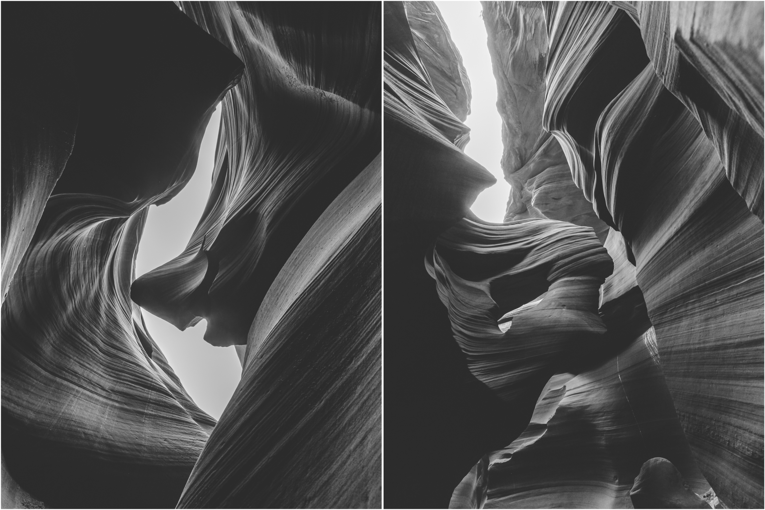AntelopeCollage8.jpg