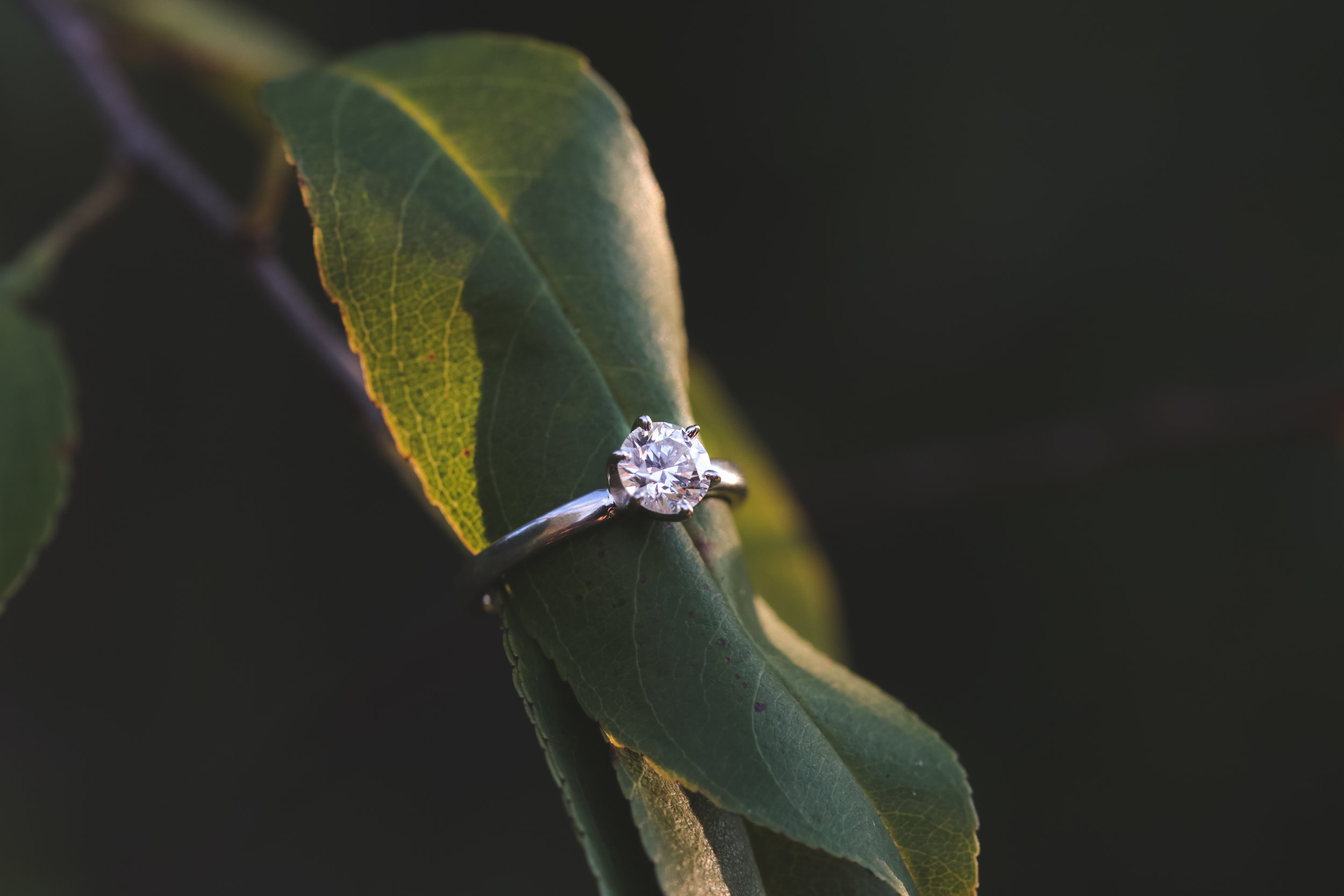 Charlotte Engagement Photographer, Jon Courville Photography