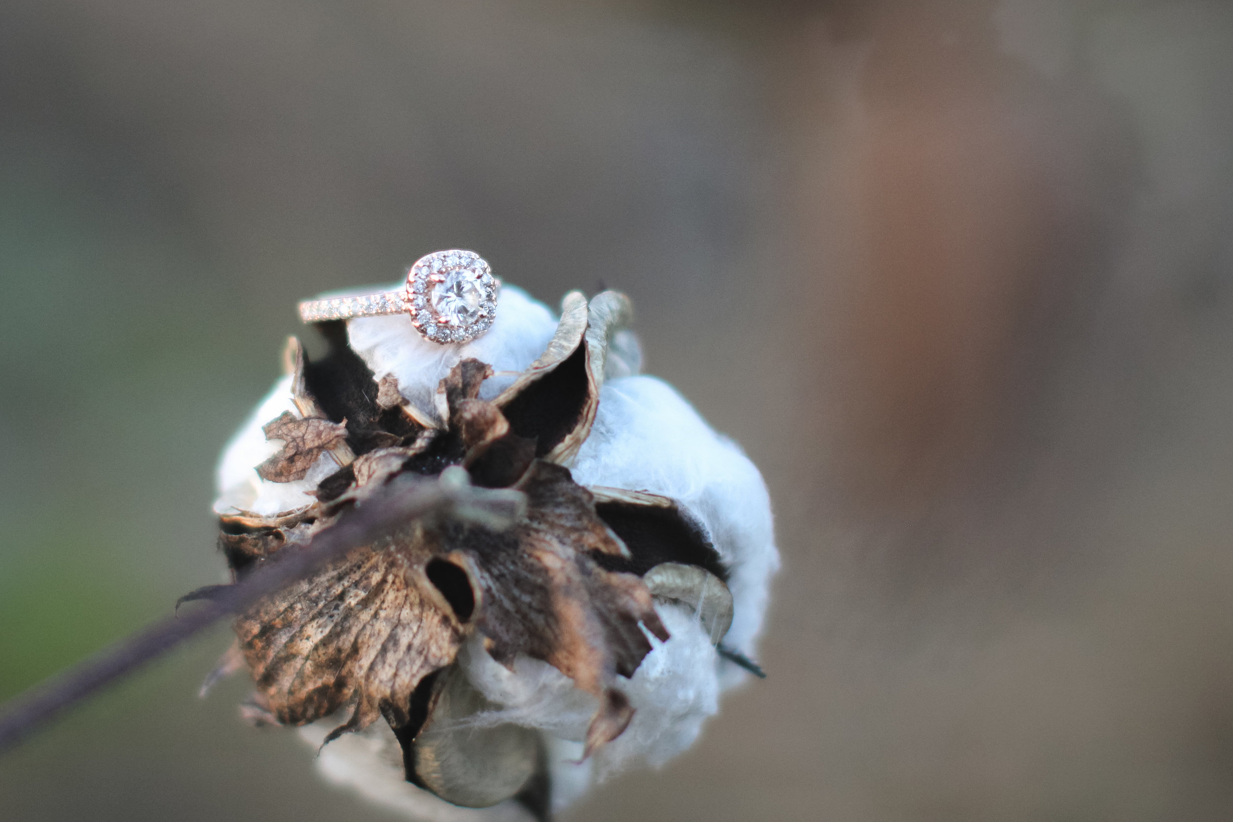 Jon Courville Photography