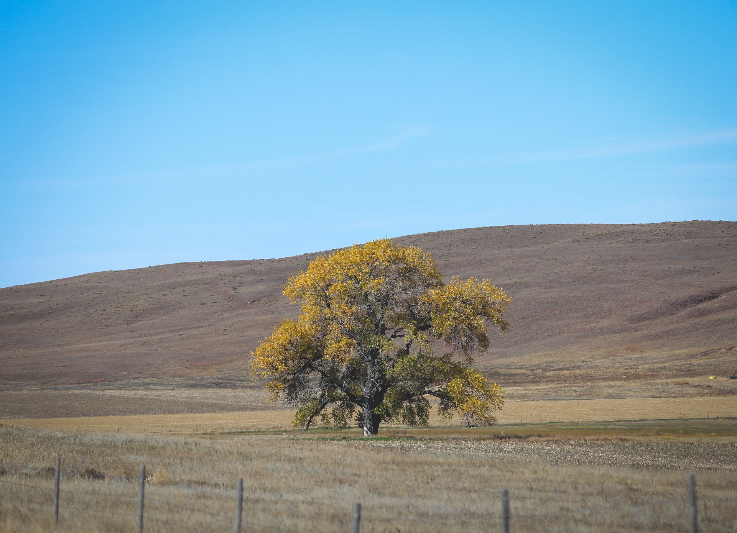 Nebraska