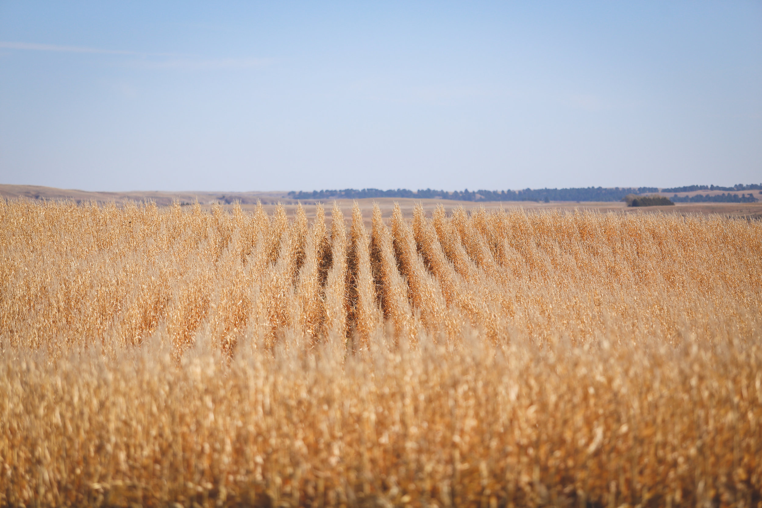 Nebraska, Jon Courville Photography