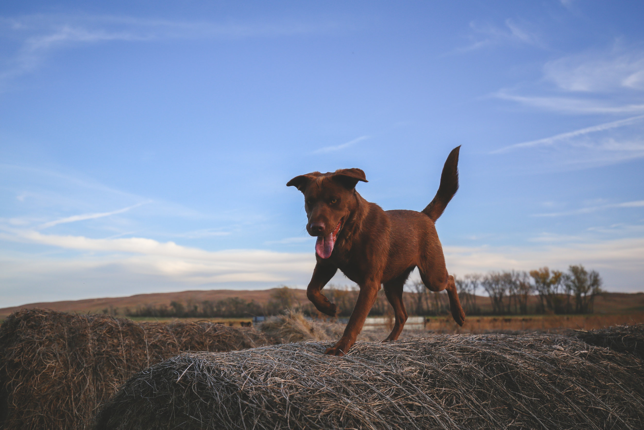Nebraska, Jon Courville Photography