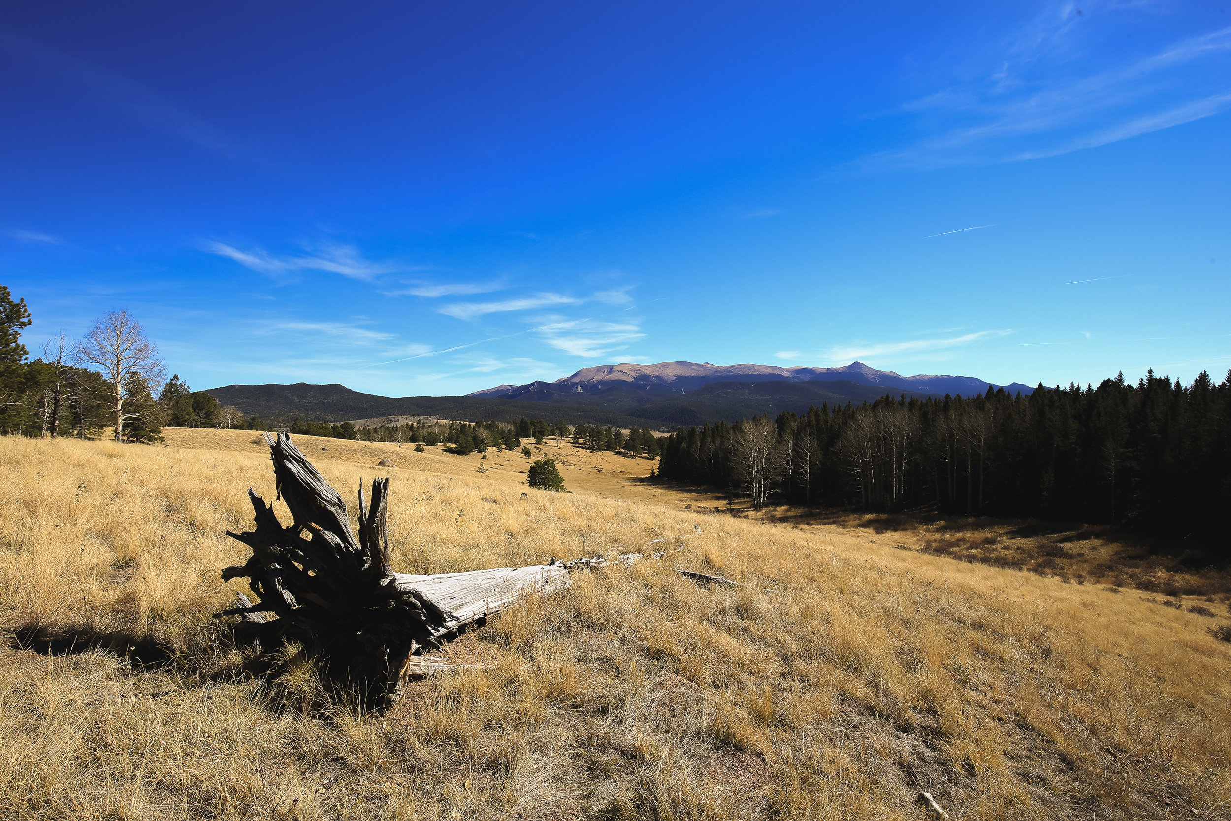Mueller State Park, Colorado