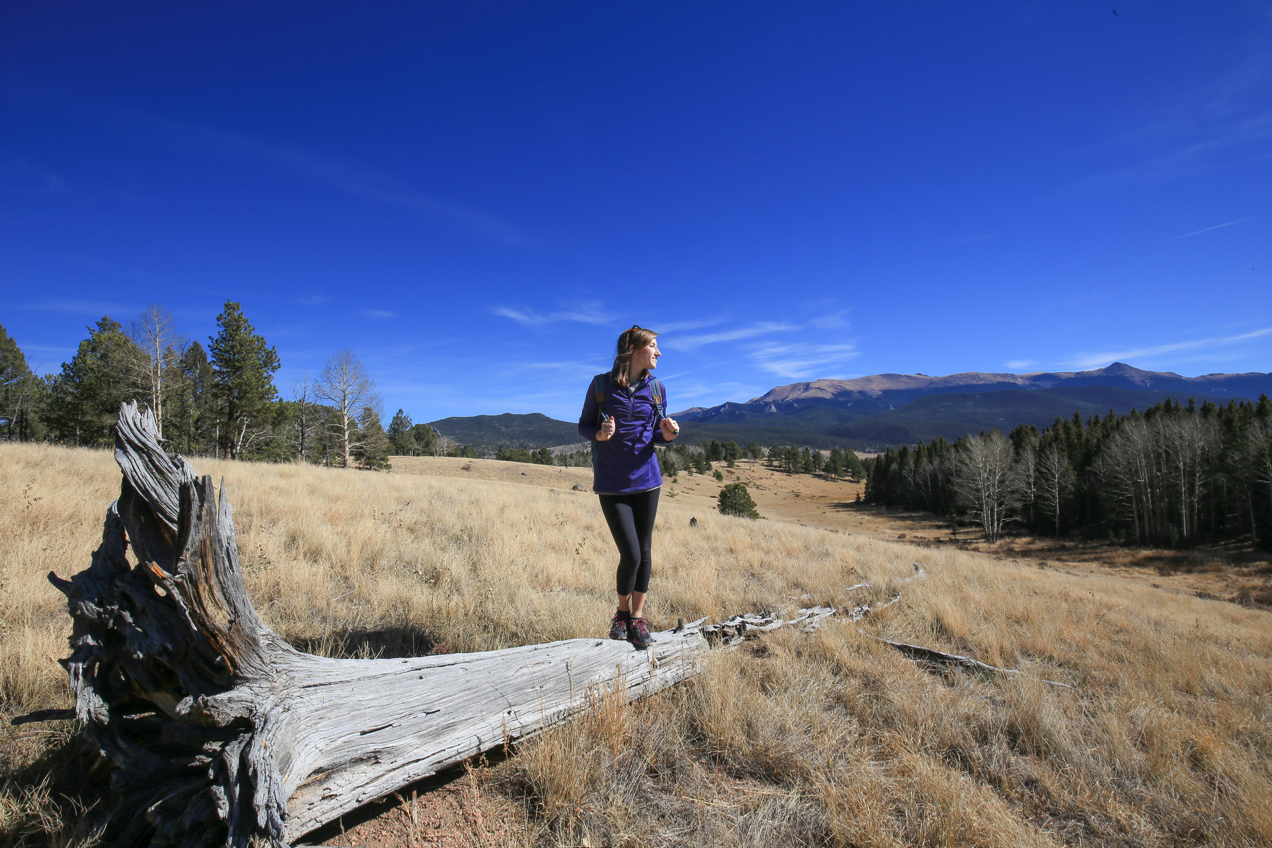 Mueller State Park, Colorado