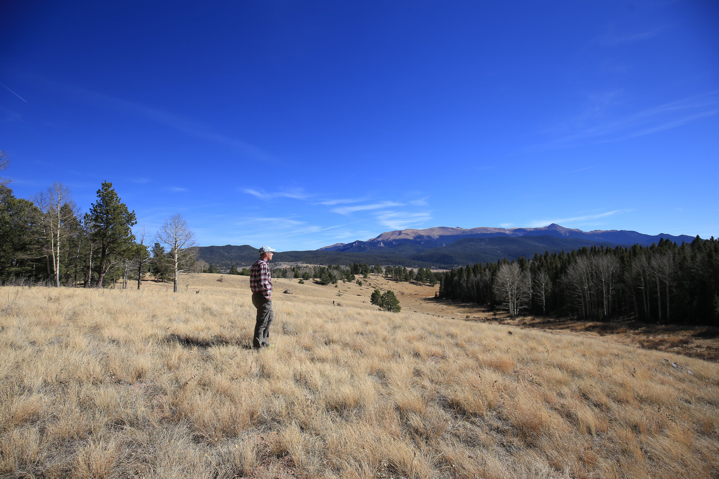 Mueller State Park, Colorado