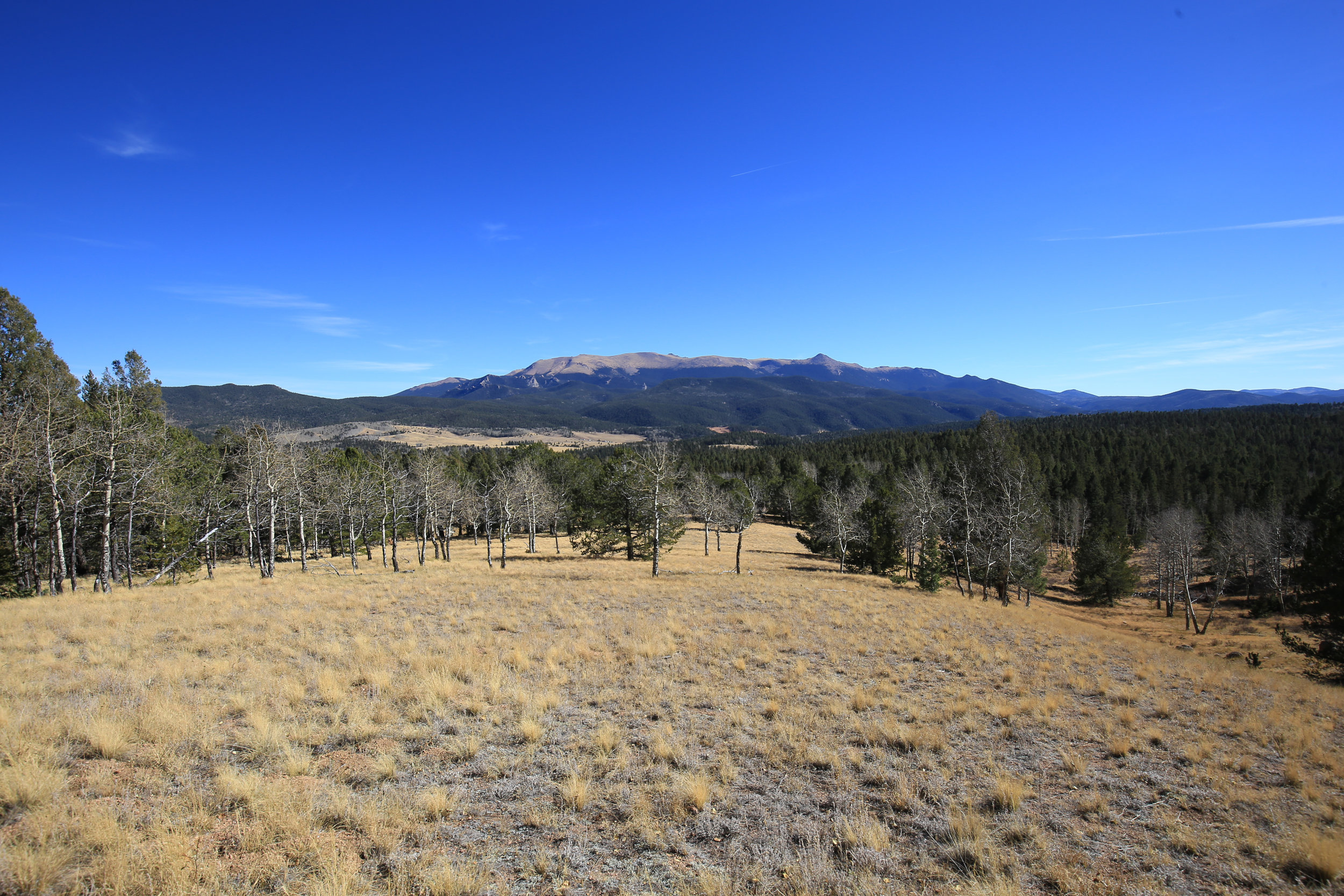 Mueller State Park, Colorado