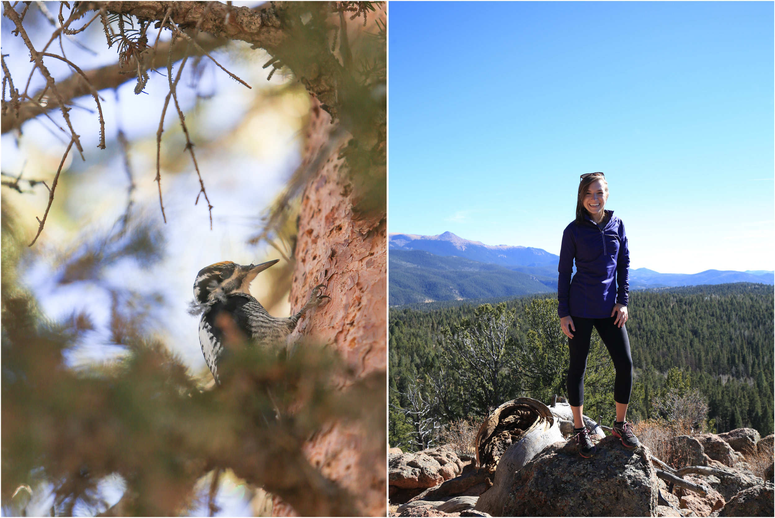 Mueller State Park, Colorado