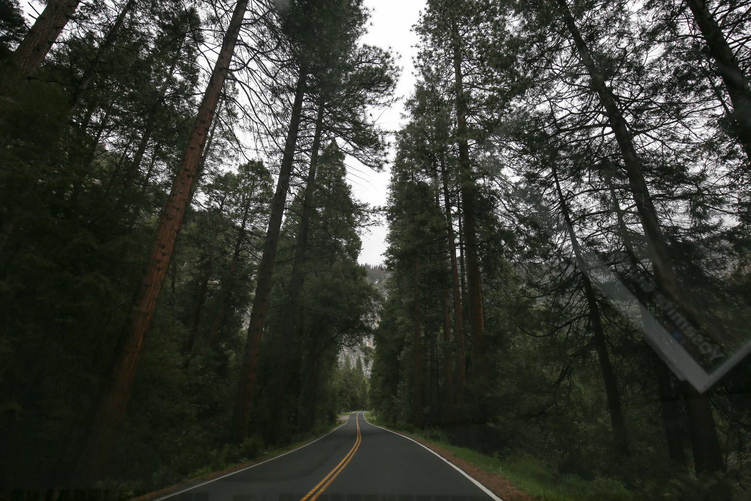 Yosemite National Park