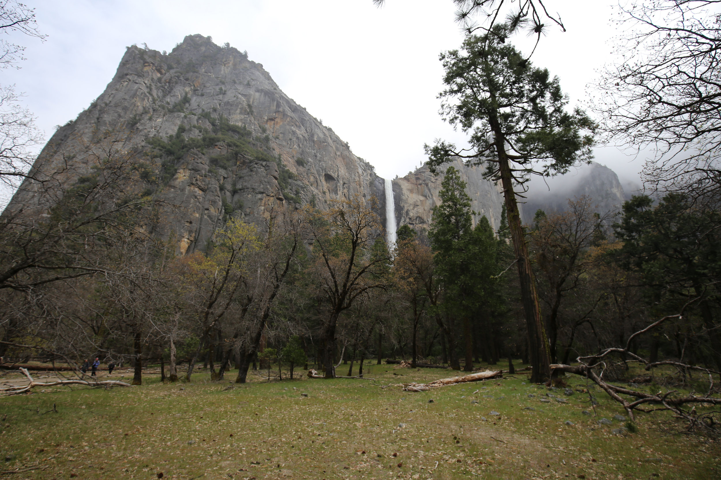 Yosemite National Park