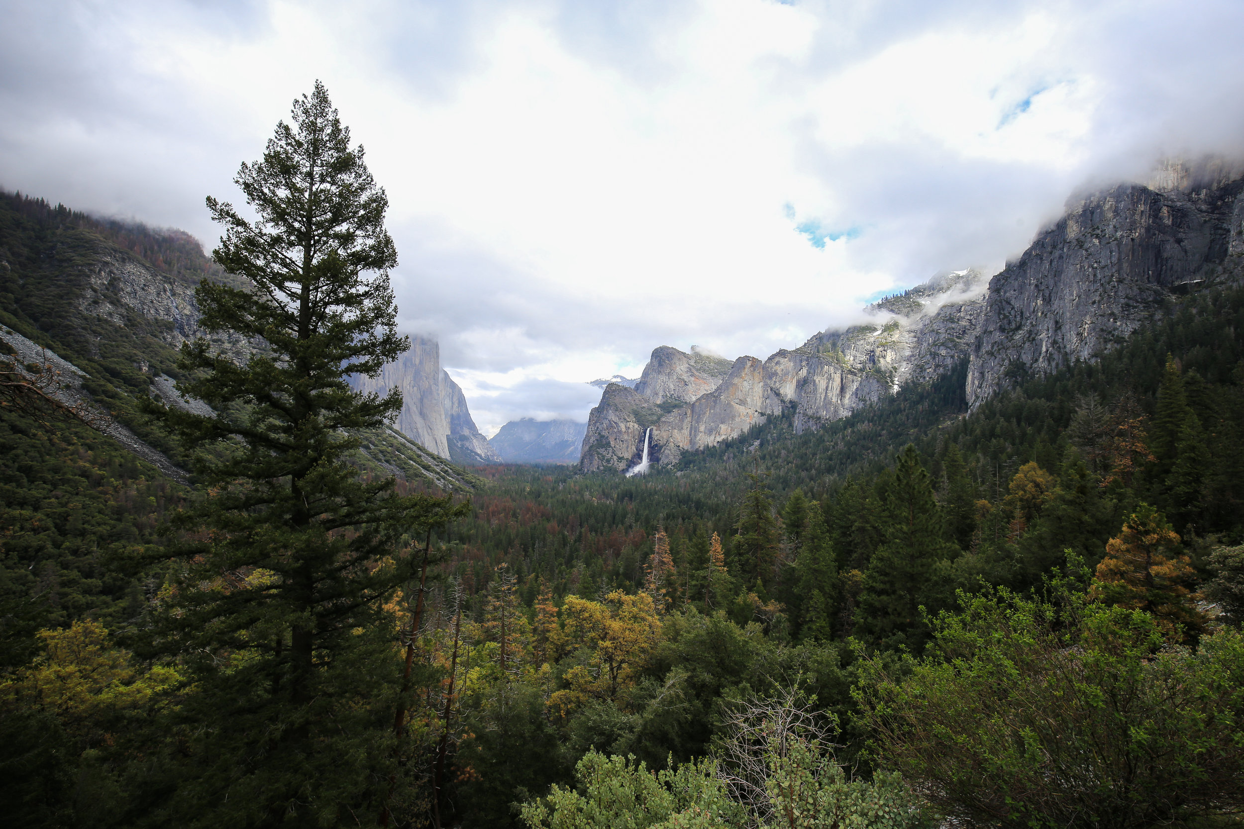 Yosemite National Park