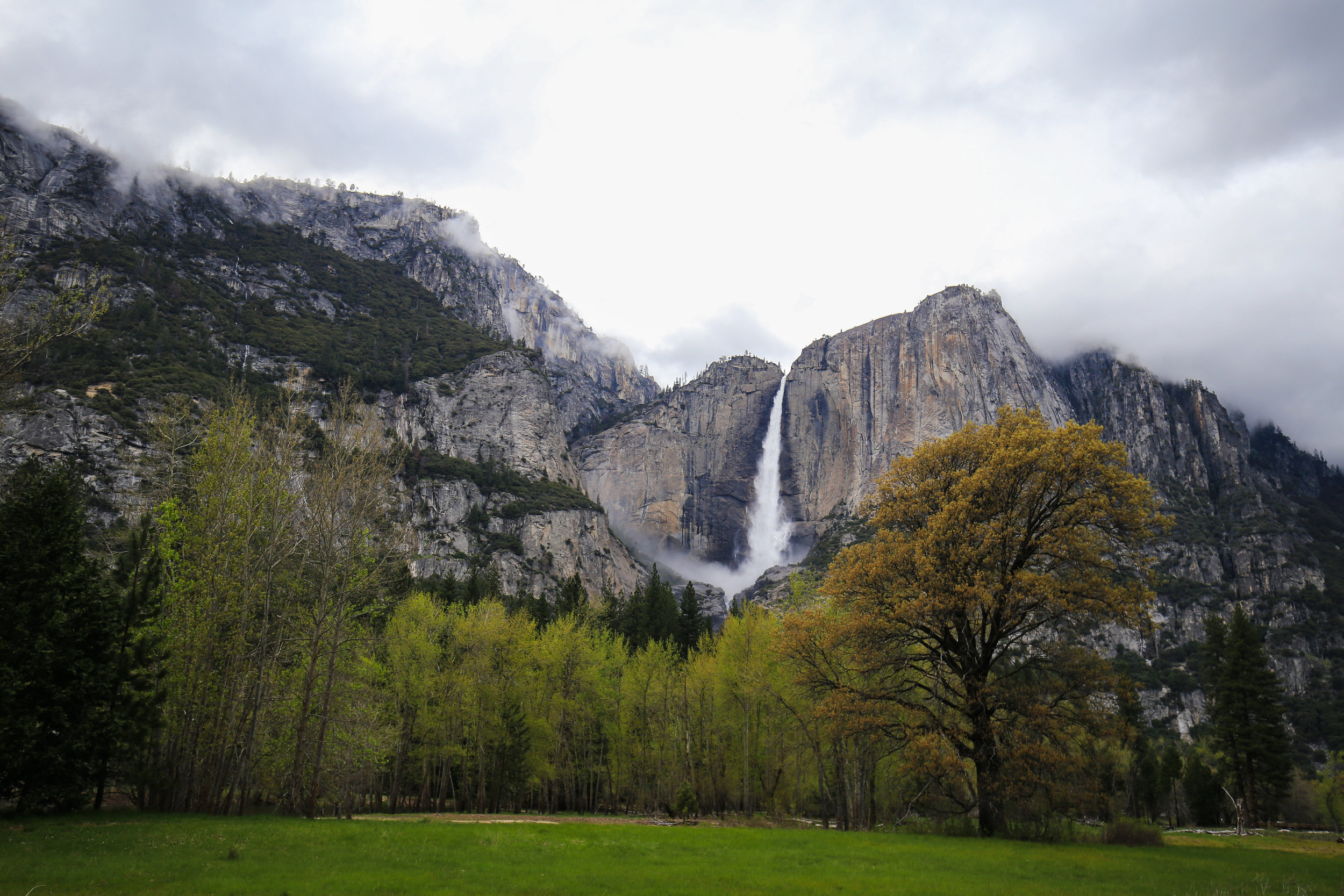 Yosemite National Park