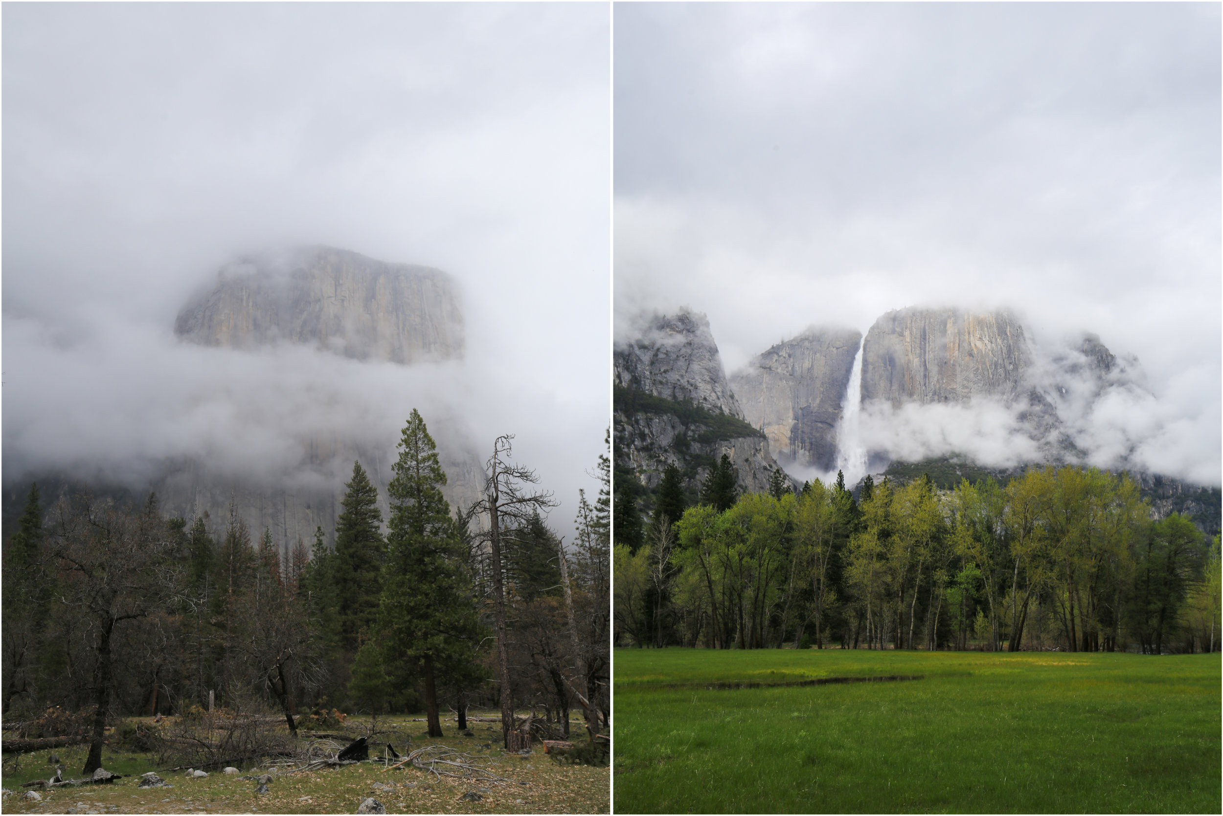 Yosemite National Park
