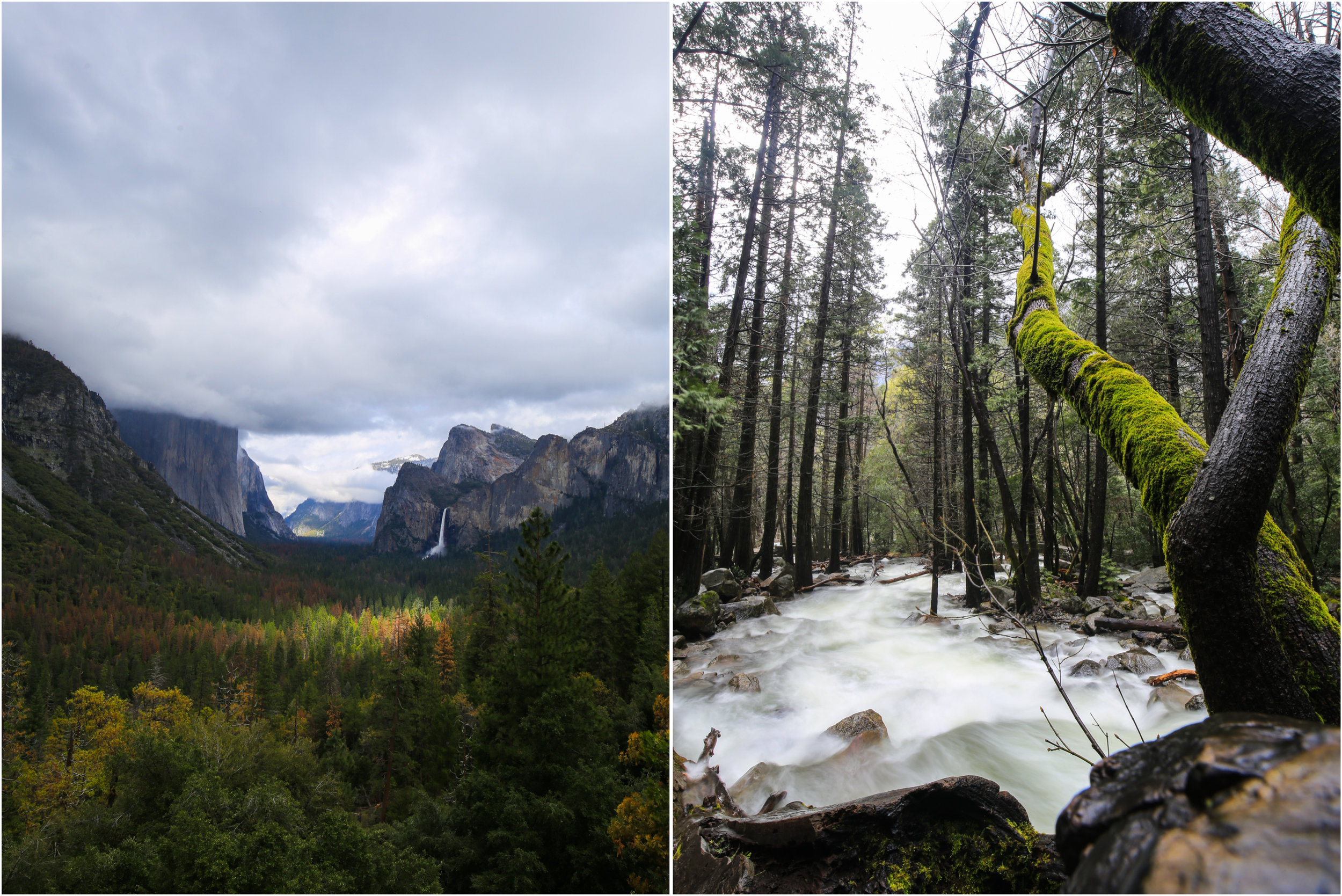 Yosemite National Park