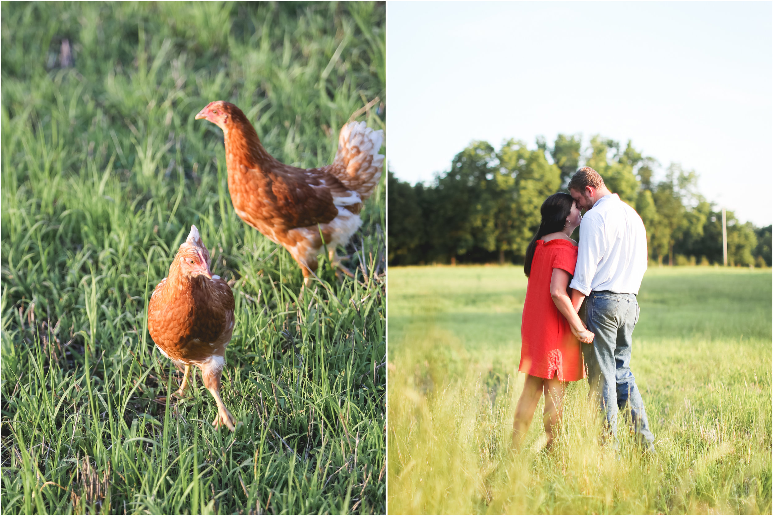 Jon Courville Photography
