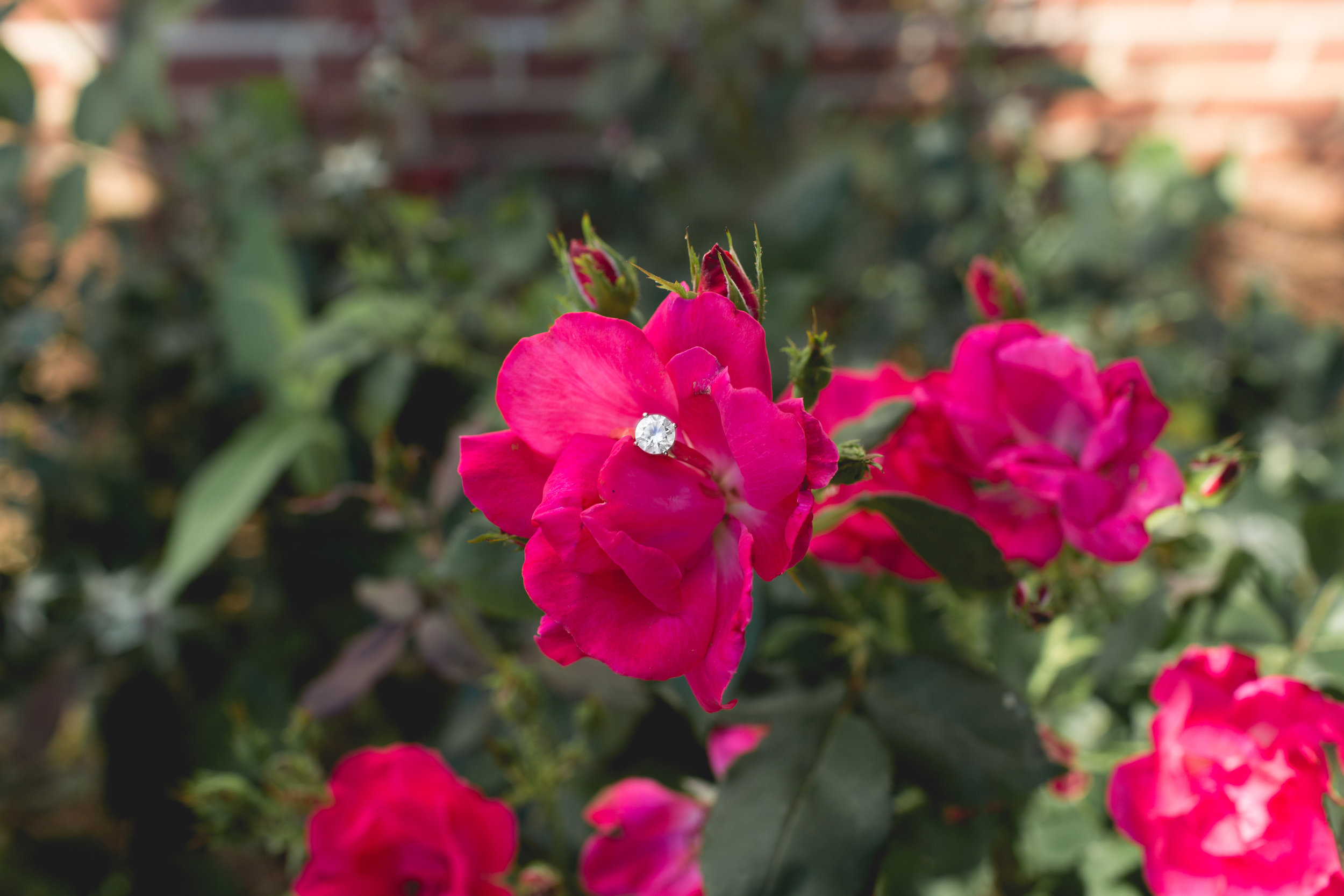 Jon Courville Photography