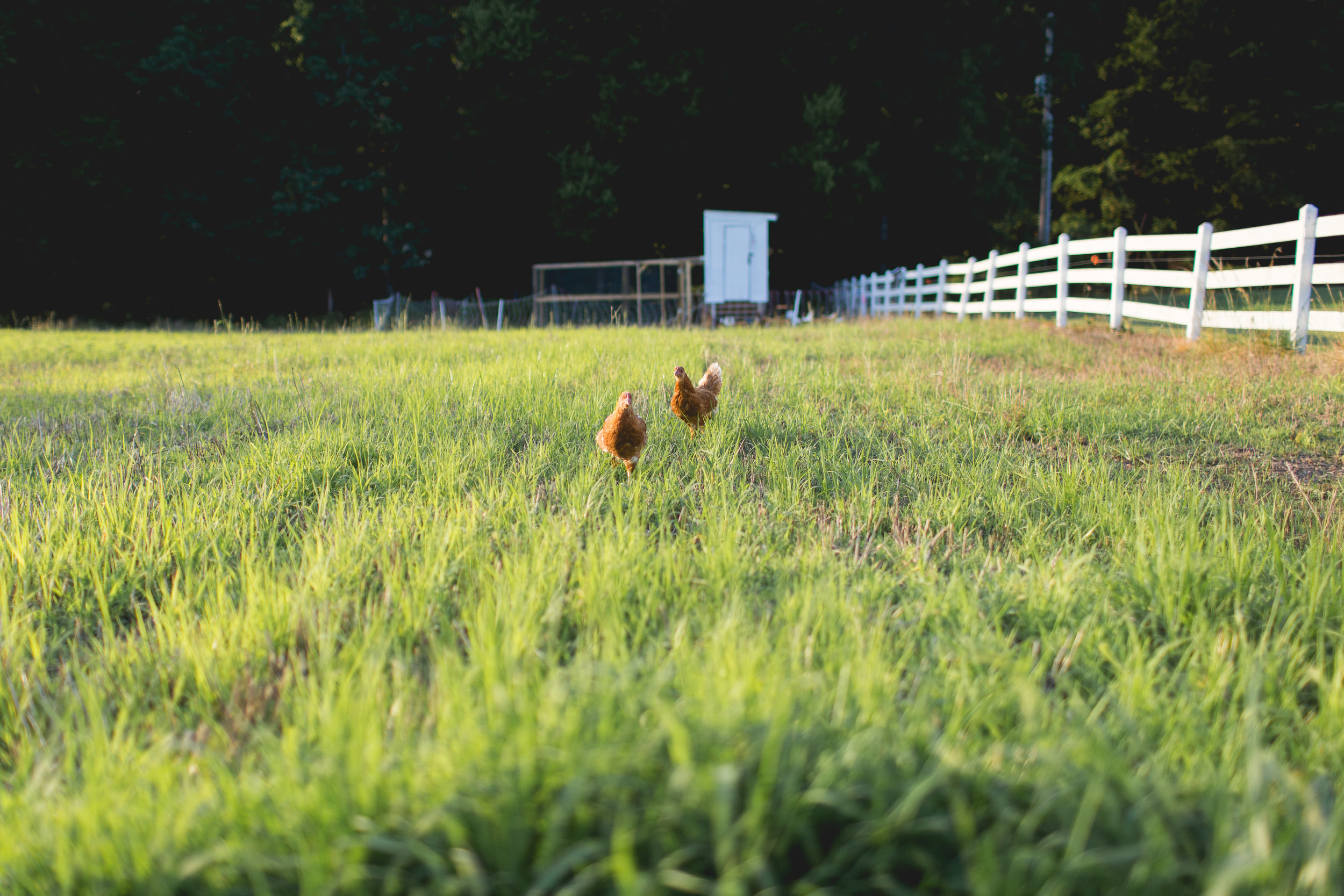 Jon Courville Photography