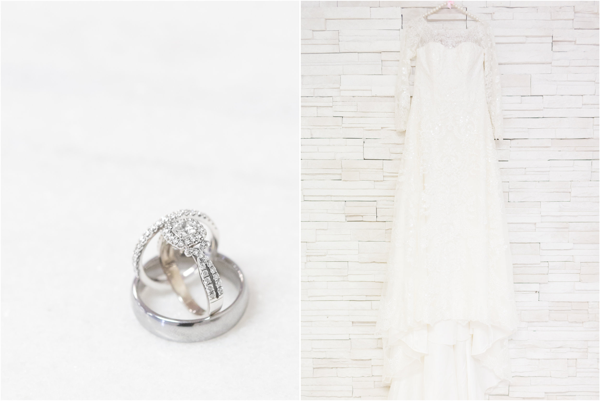 Wedding Rings and Gown