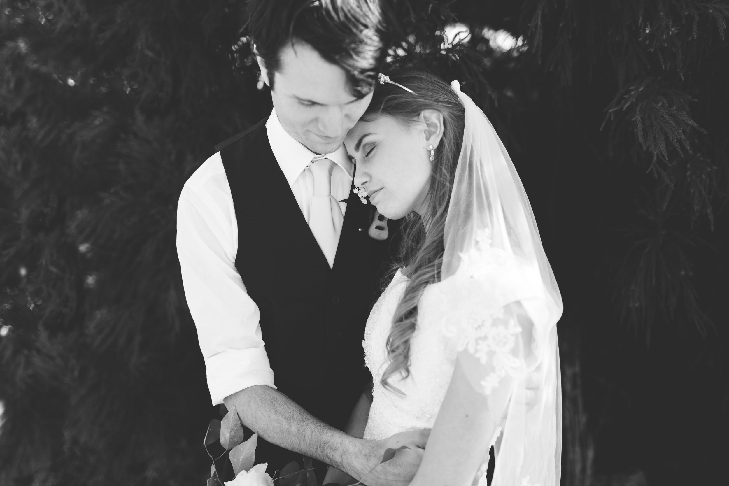 Bride Groom portraits