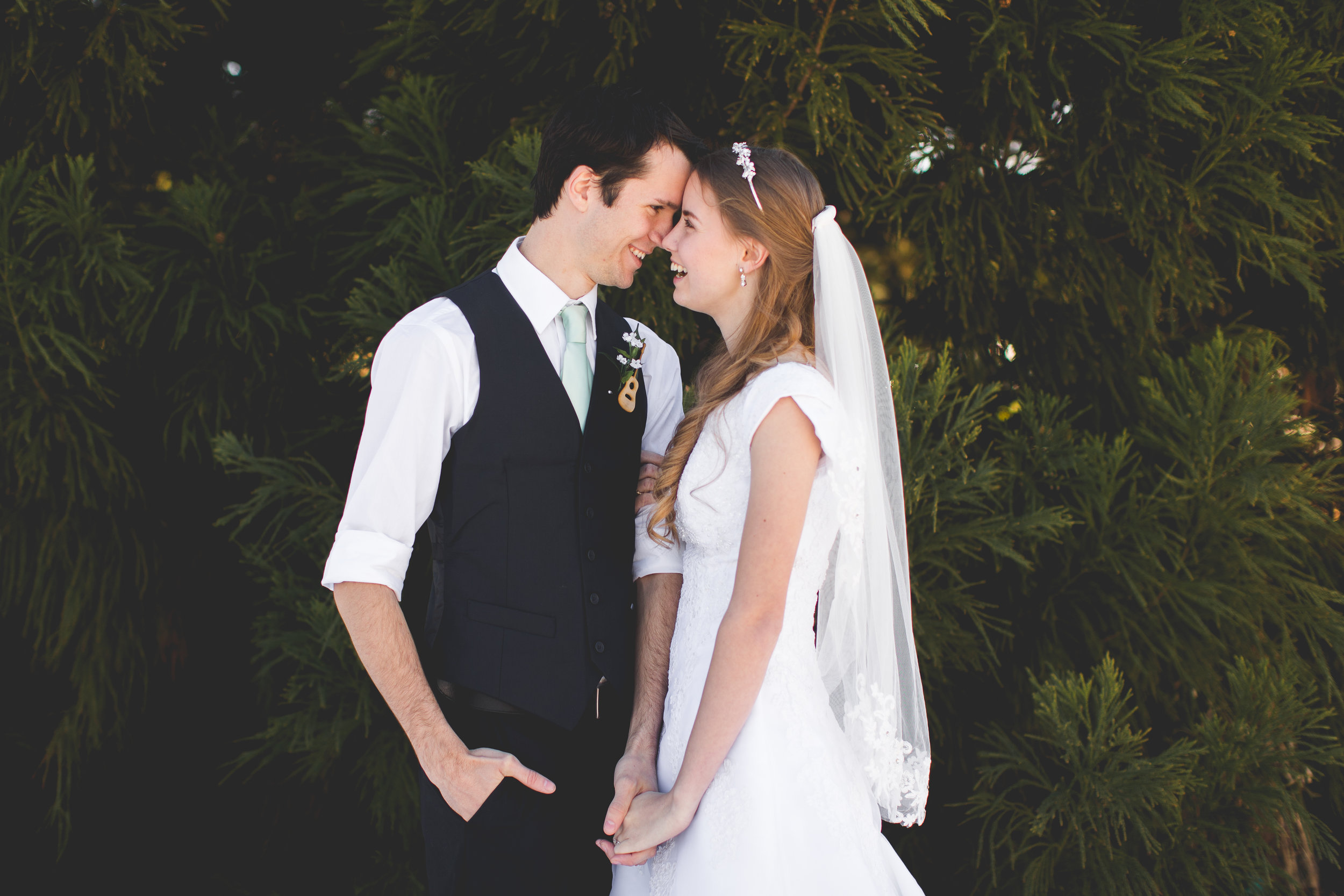 Bride Groom Portraits