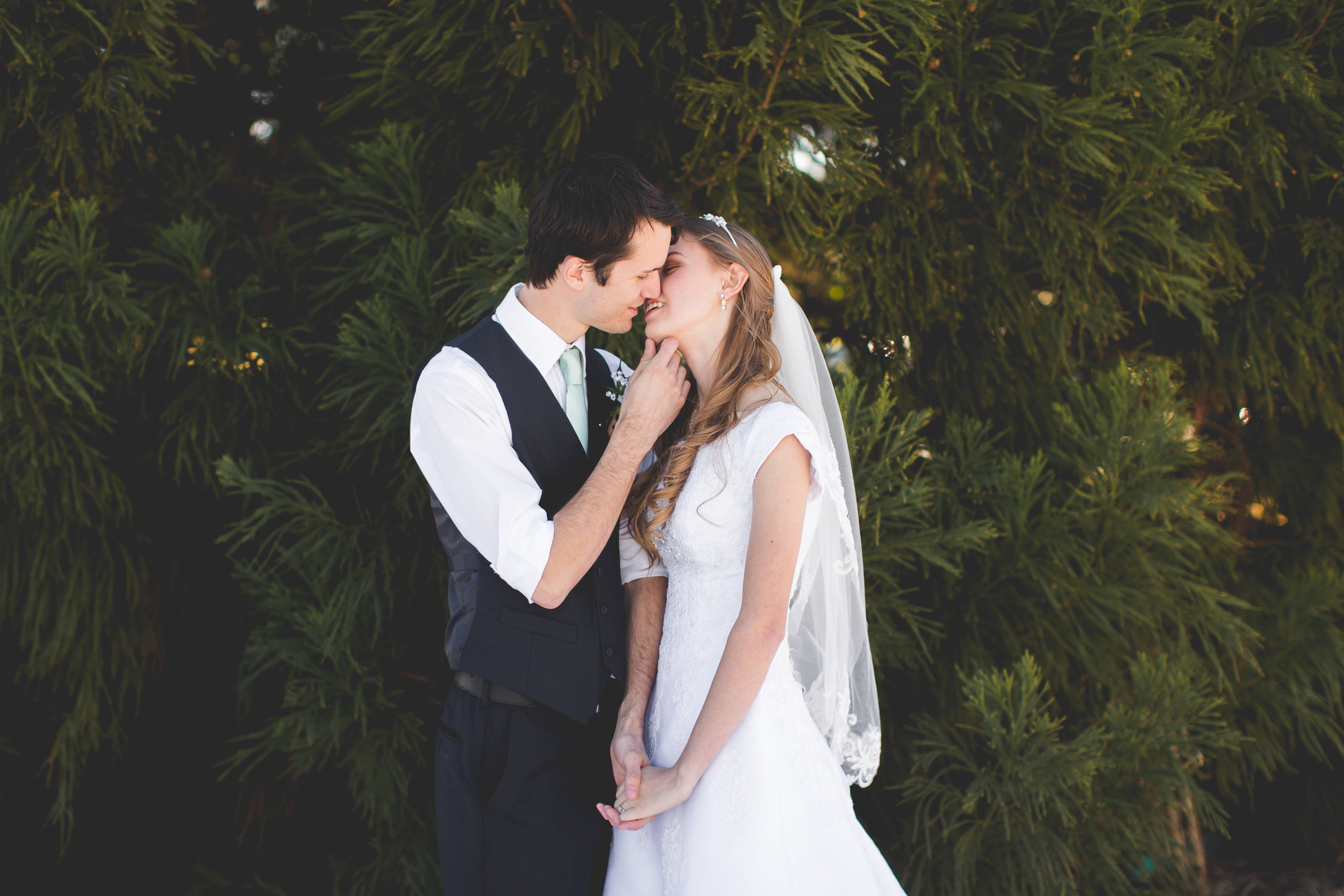 Bride Groom Portraits