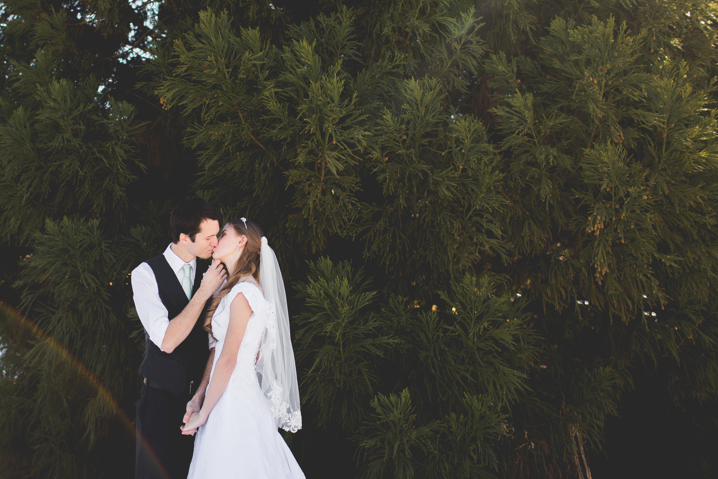 Bride Groom portraits