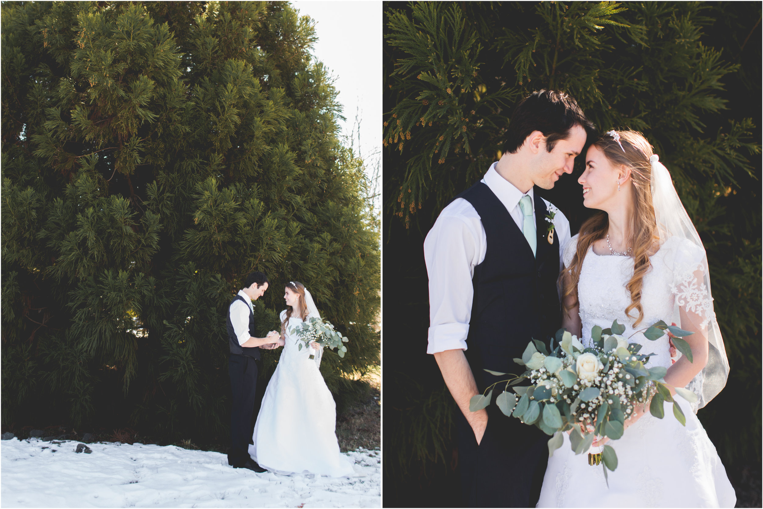Bride Groom portraits