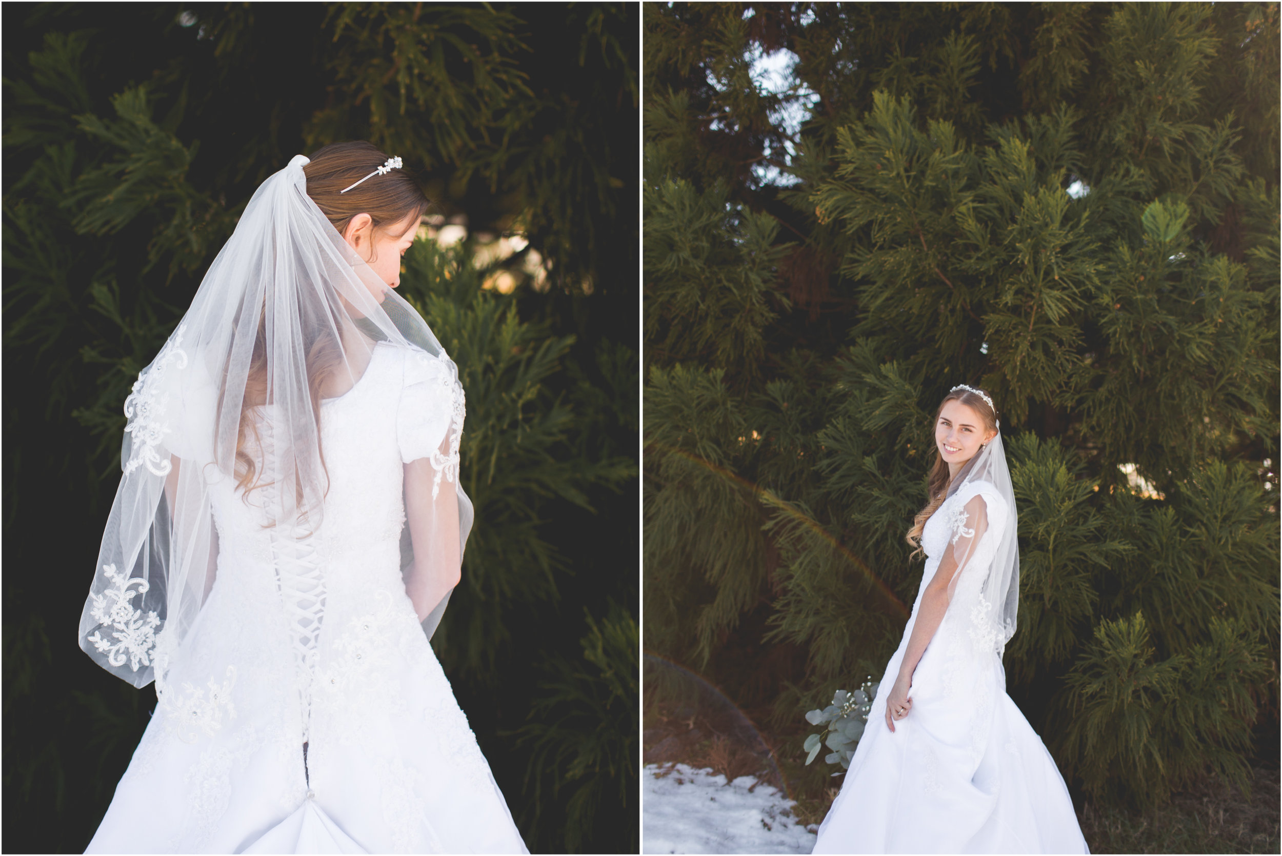 Bride Groom Portraits